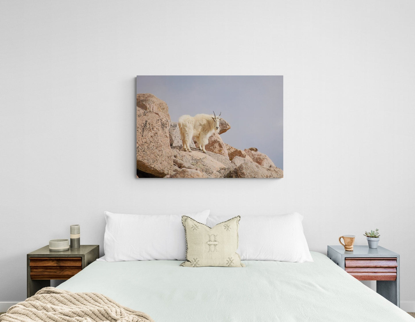 Mountain Goat Print, Rocky Mountain Wildlife, Canvas Wall Art Print, Mountain Landscape, Mount Evans Colorado Print, Wall Decor for Home - SandyDobbsFineArtPhotography