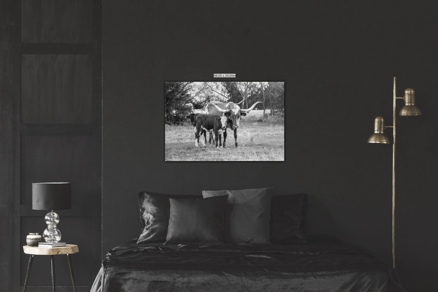 Texas Longhorn Black and White Cow Calf Print, Canvas Wall Art Prints, Cow Wall Art, Western Decor, Rustic Wall Decor for Home and Office - SandyDobbsFineArtPhotography