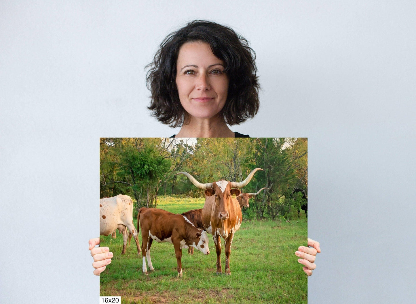 Texas Longhorn Cow Calf Print, Canvas Wall Art Prints, Cow Wall Art, Western Decor, Rustic Wall Decor for Home and Office - SandyDobbsFineArtPhotography