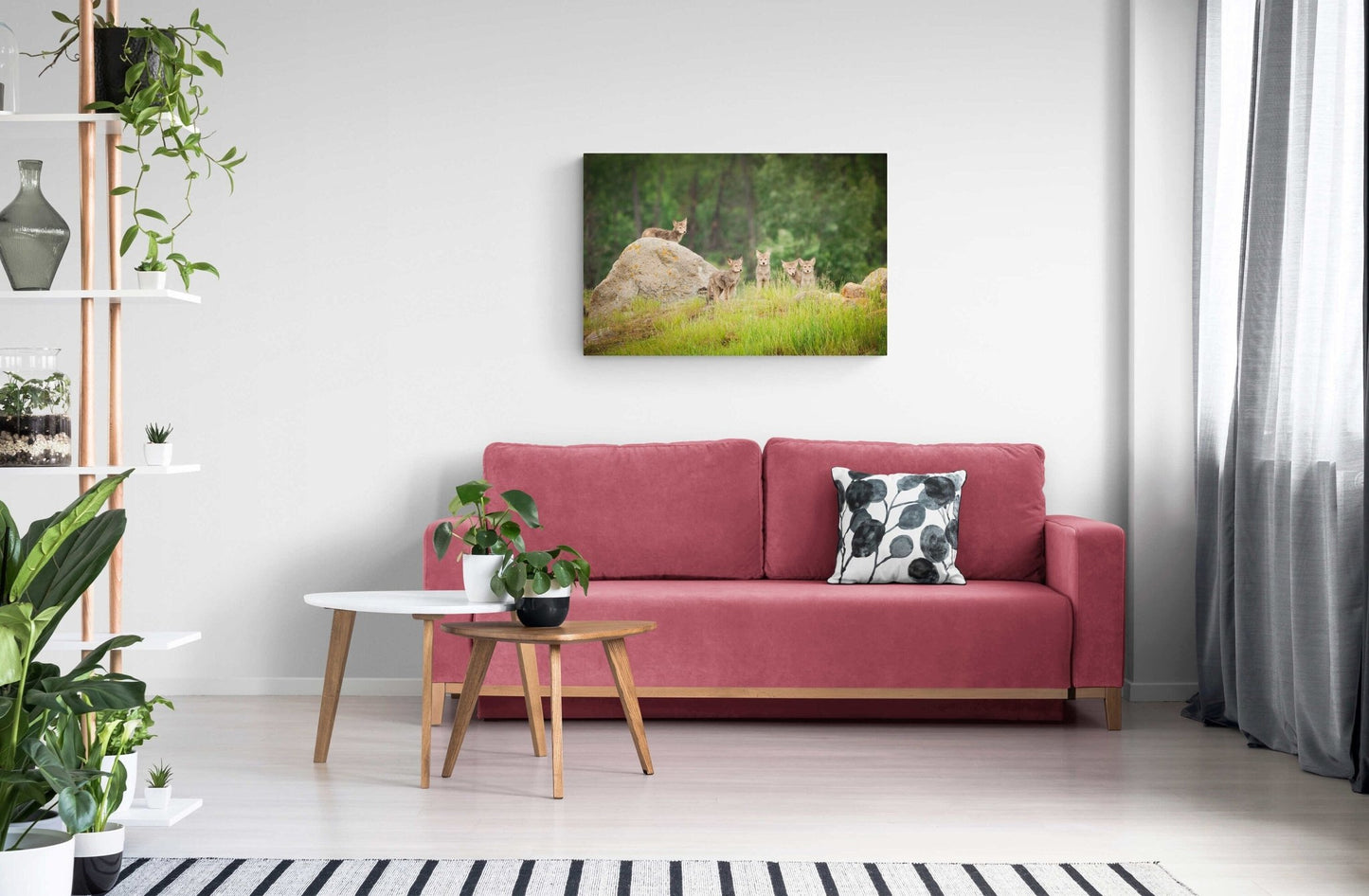 Wildlife Wall Art Canvas, Coyote Pups, Jasper National Park Canada Prints, Decor for Home, Living Room, Bedroom, Office, Fine Art Original - SandyDobbsFineArtPhotography