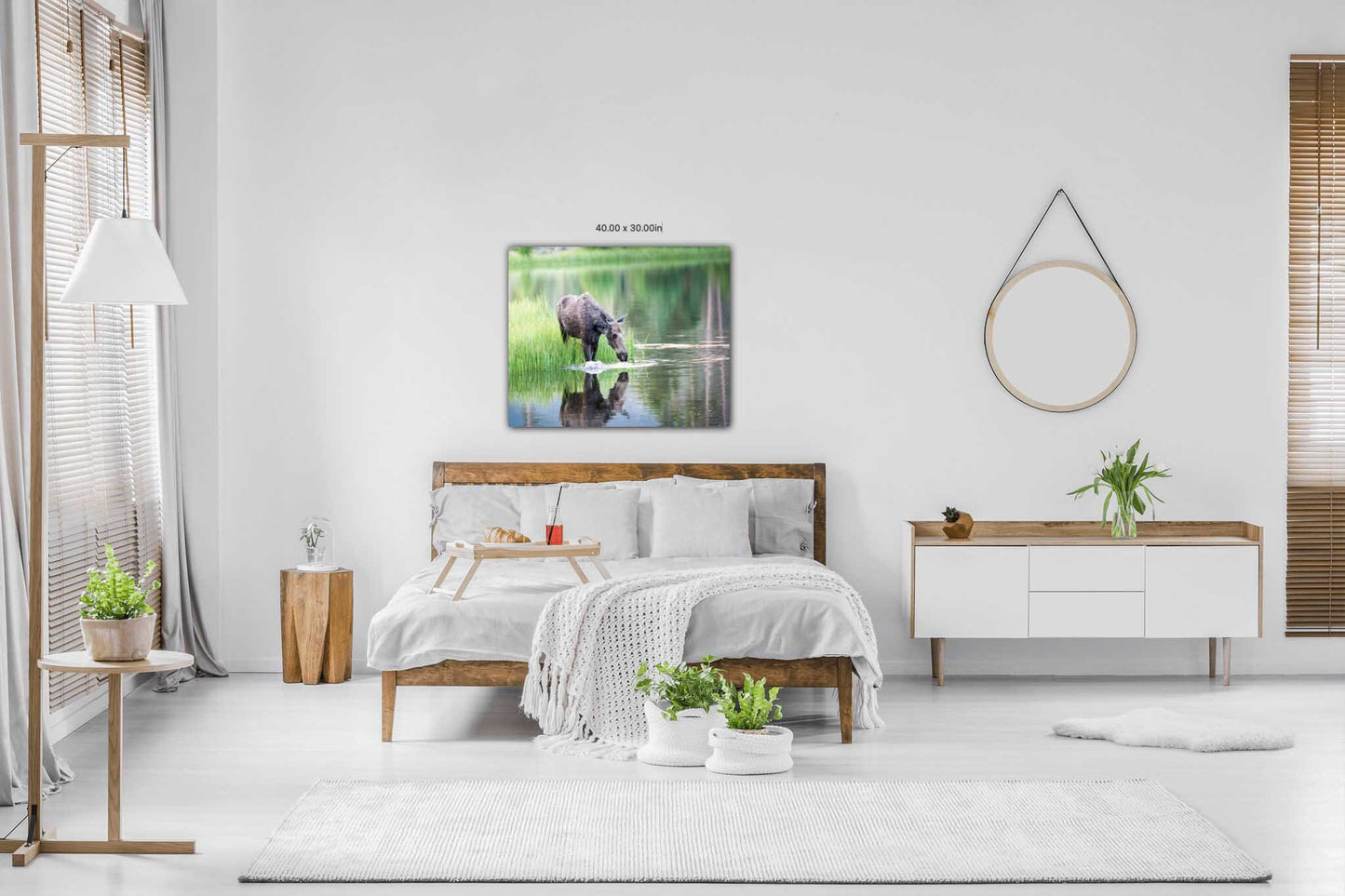 Moose Wall Art, Wildlife Wall Canvas, Rocky Mountain National Park, Colorado Canvas Wall Art Prints, Decor for Home,Living Room, Bedroom - SandyDobbsFineArtPhotography