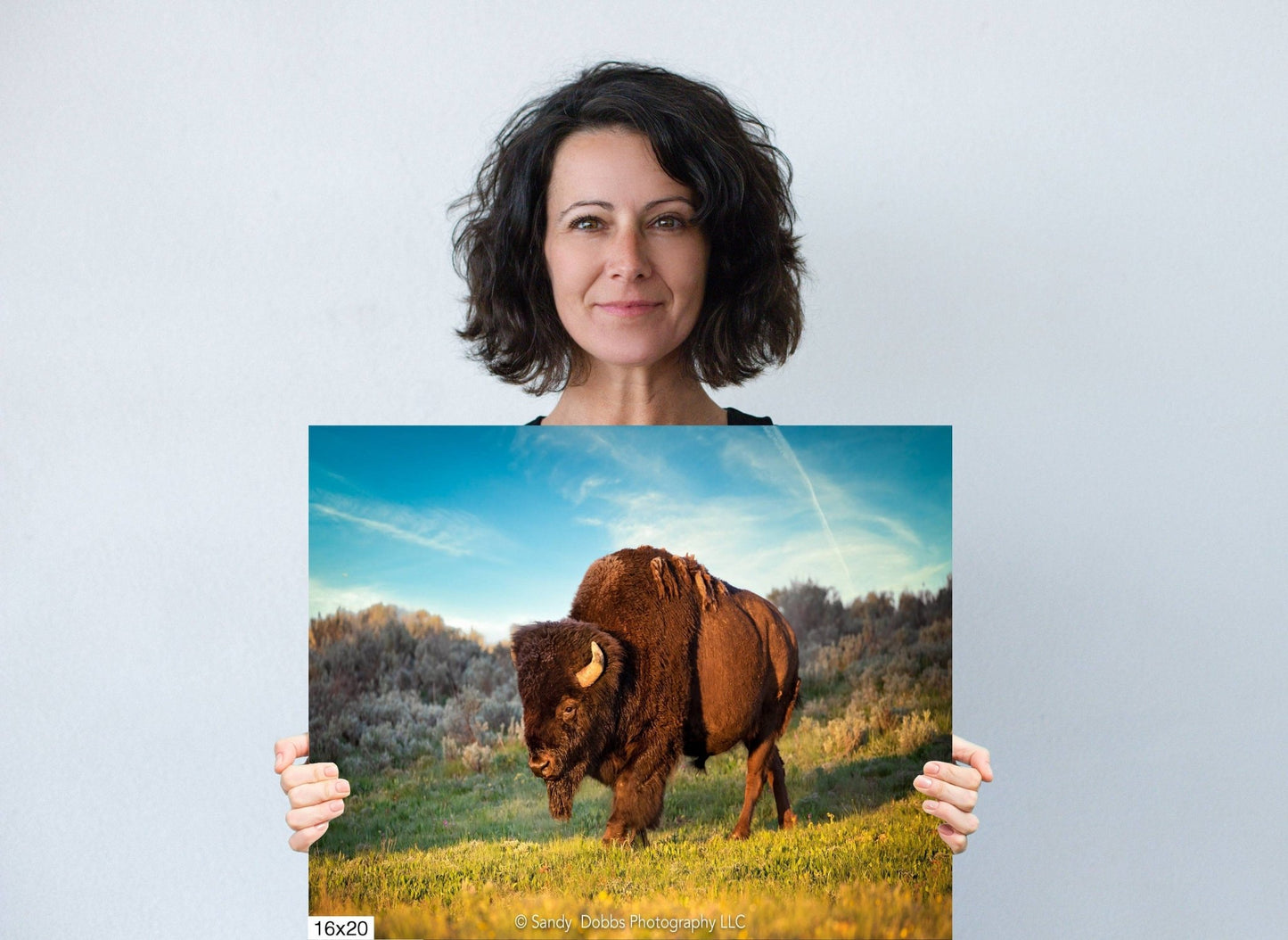 Buffalo Canvas Print, Bison Photograph, Yellowstone National Park Wildlife Photography, Wildlife Wall Art Decor, by Original Photographer - SandyDobbsFineArtPhotography