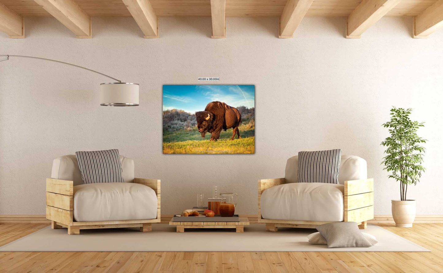 Buffalo Canvas Print, Bison Photograph, Yellowstone National Park Wildlife Photography, Wildlife Wall Art Decor, by Original Photographer