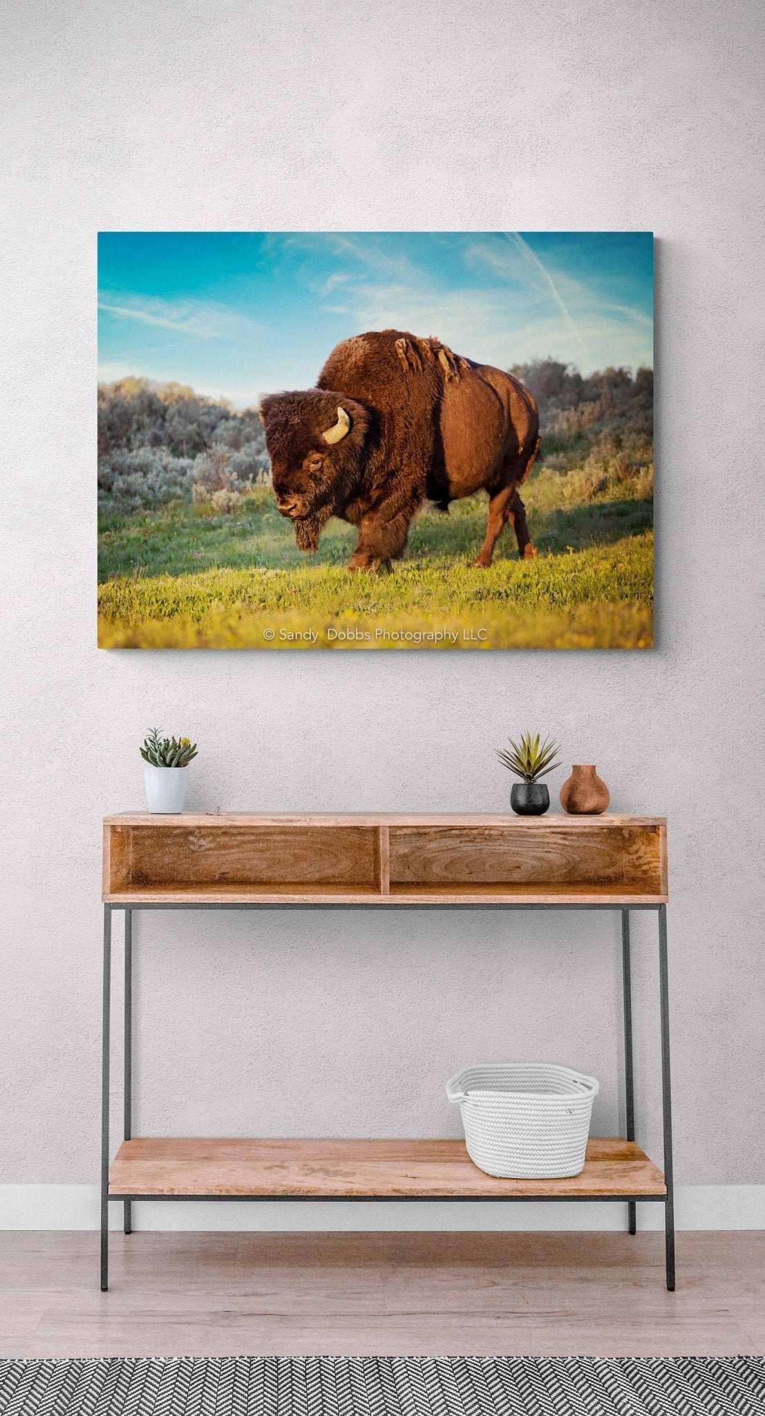 Buffalo Canvas Print, Bison Photograph, Yellowstone National Park Wildlife Photography, Wildlife Wall Art Decor, by Original Photographer - SandyDobbsFineArtPhotography