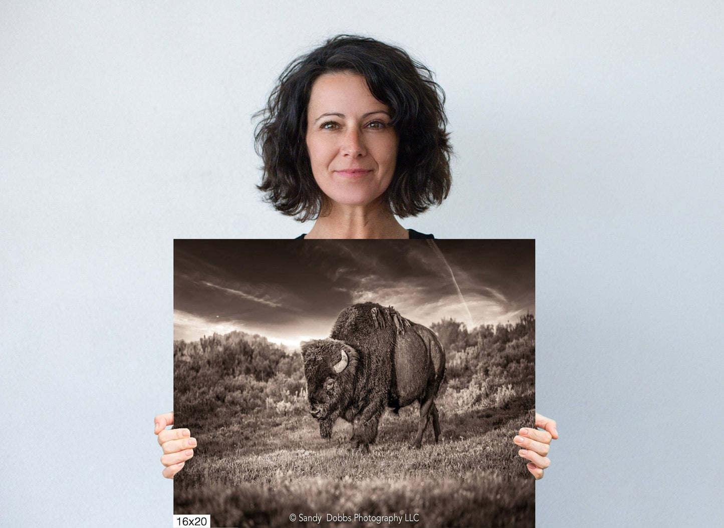 Bison Art Canvas Sepia Print, Buffalo Canvas Photograph, Yellowstone National Park Wildlife, Wildlife Wall Art Decor, Home, Living, Office - SandyDobbsFineArtPhotography