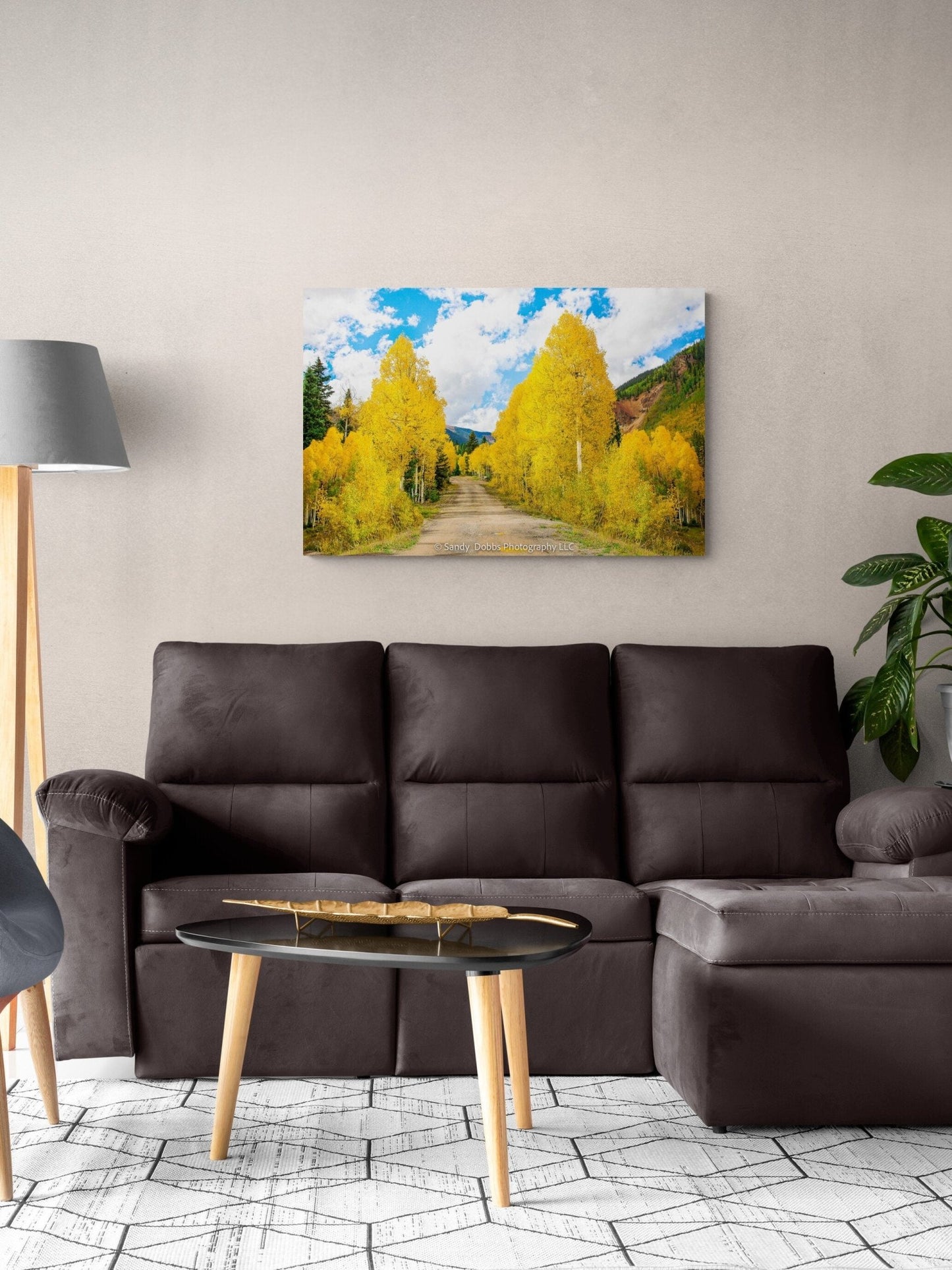 Colorado Golden Aspen Metal Print, Autumn Aspens Photo, Nature Acrylic Print, Rocky Mountain Landscape Print, Large Wall Art Print Decor - SandyDobbsFineArtPhotography