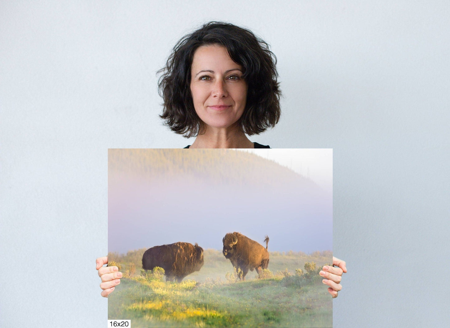Buffalo Wall Art Print, Bison Photograph, Yellowstone National Park Wildlife Photography, Wildlife Canvas Decor, Western Landscape - SandyDobbsFineArtPhotography