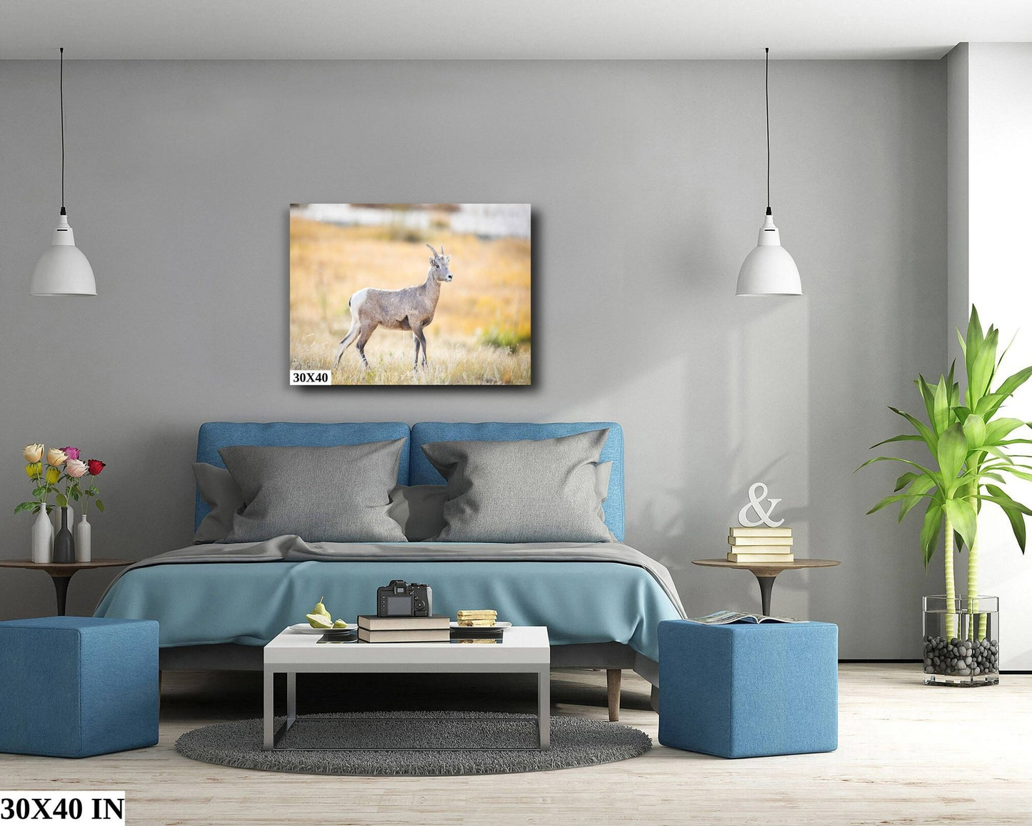 Big Horn Ewe at Sheep's Lake, Wildlife Wall Canvas, Rocky Mountain National Park, Colorado Art Prints, Decor for Home and Office, Original - SandyDobbsFineArtPhotography