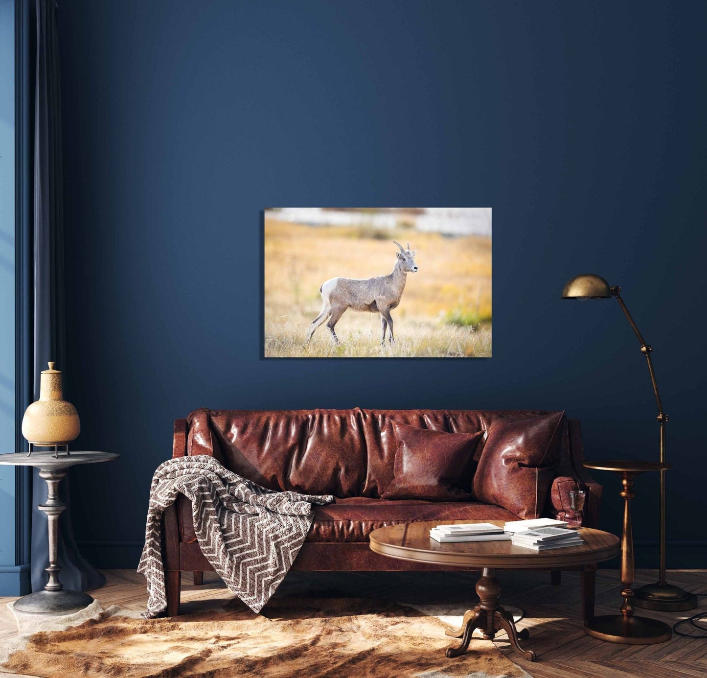 Big Horn Ewe at Sheep's Lake, Wildlife Wall Canvas, Rocky Mountain National Park, Colorado Art Prints, Decor for Home and Office, Original - SandyDobbsFineArtPhotography