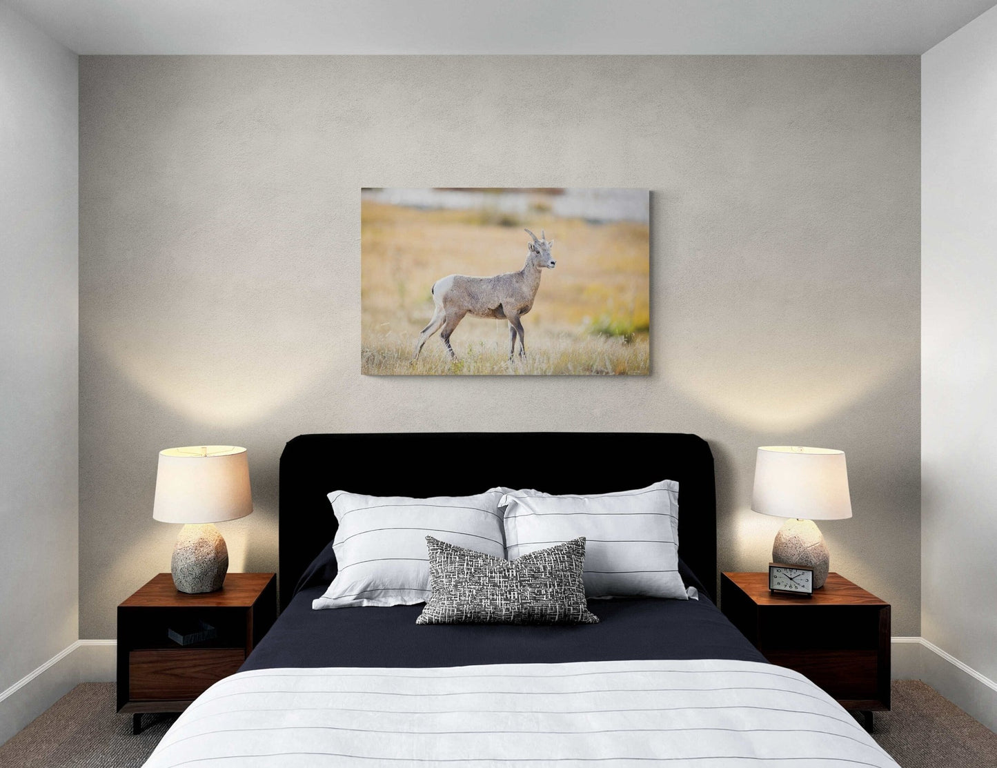 Big Horn Ewe at Sheep's Lake, Wildlife Wall Canvas, Rocky Mountain National Park, Colorado Art Prints, Decor for Home and Office, Original - SandyDobbsFineArtPhotography