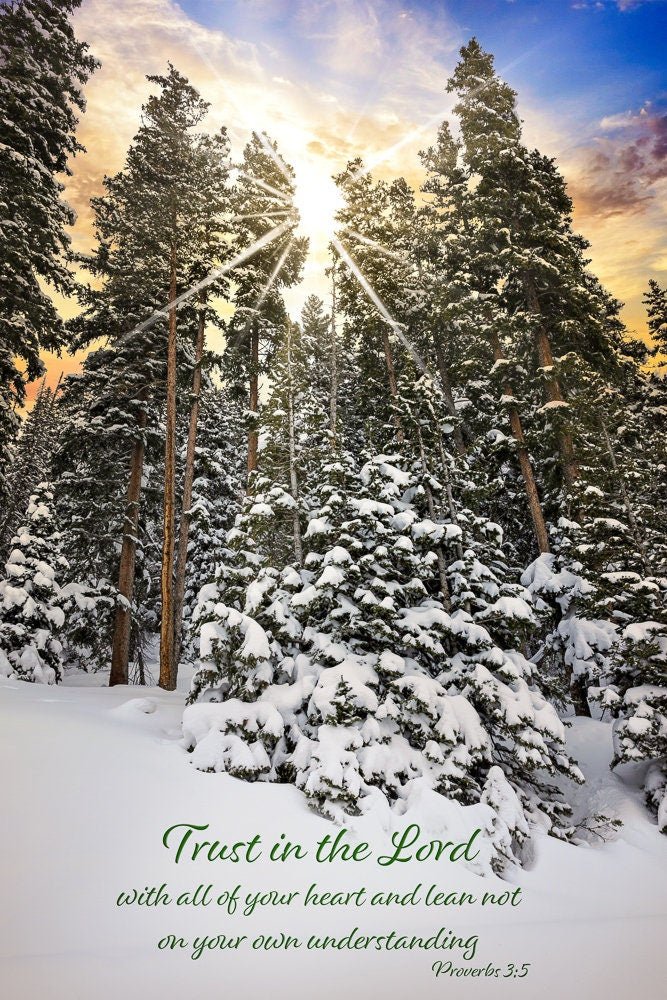Proverbs 3:5, Christian Inspirational Wall Art, Scripture Wall Canvas, Trust in the Lord, Colorado Landscape Photography, Customization - SandyDobbsFineArtPhotography