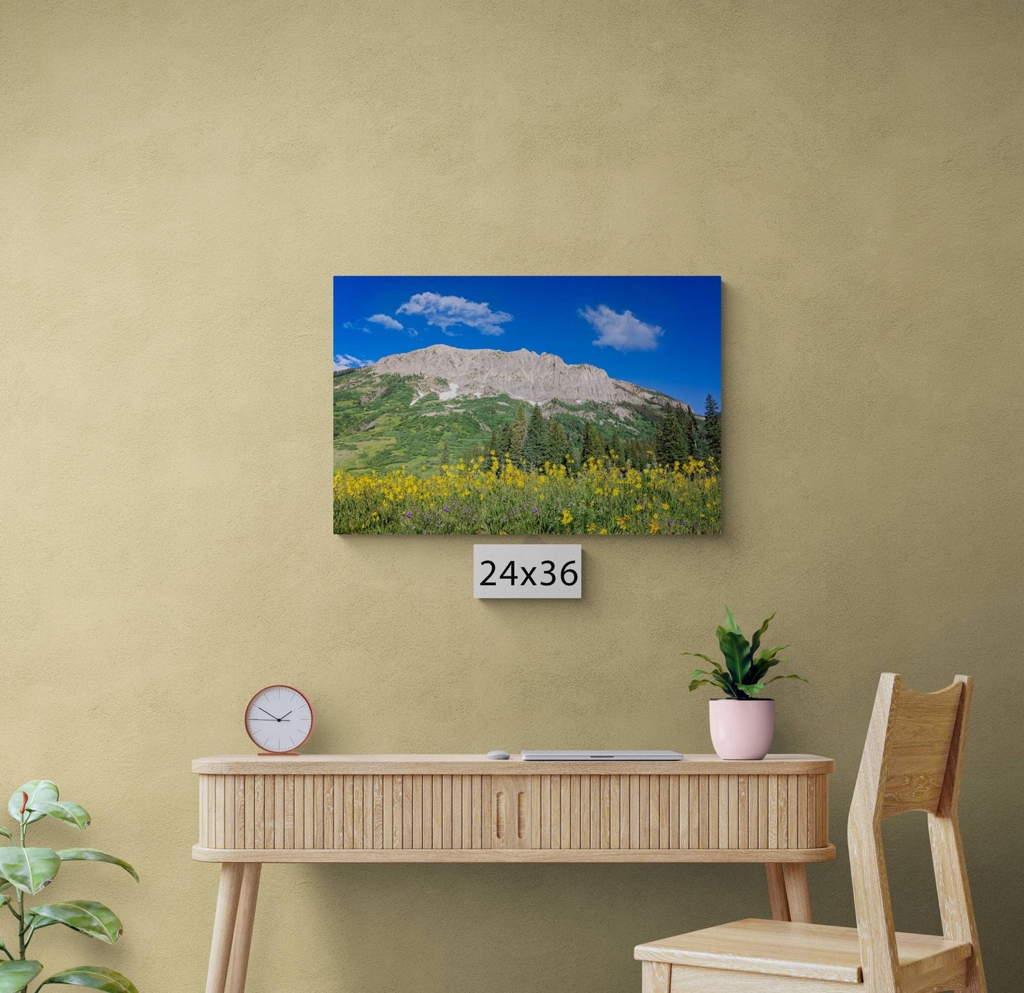 Crested Butte Colorado Mountain Wildflowers Photo, Photography Landscape Canvas Wall Art Print, Large Original Fine Art Decor Home or Office - SandyDobbsFineArtPhotography