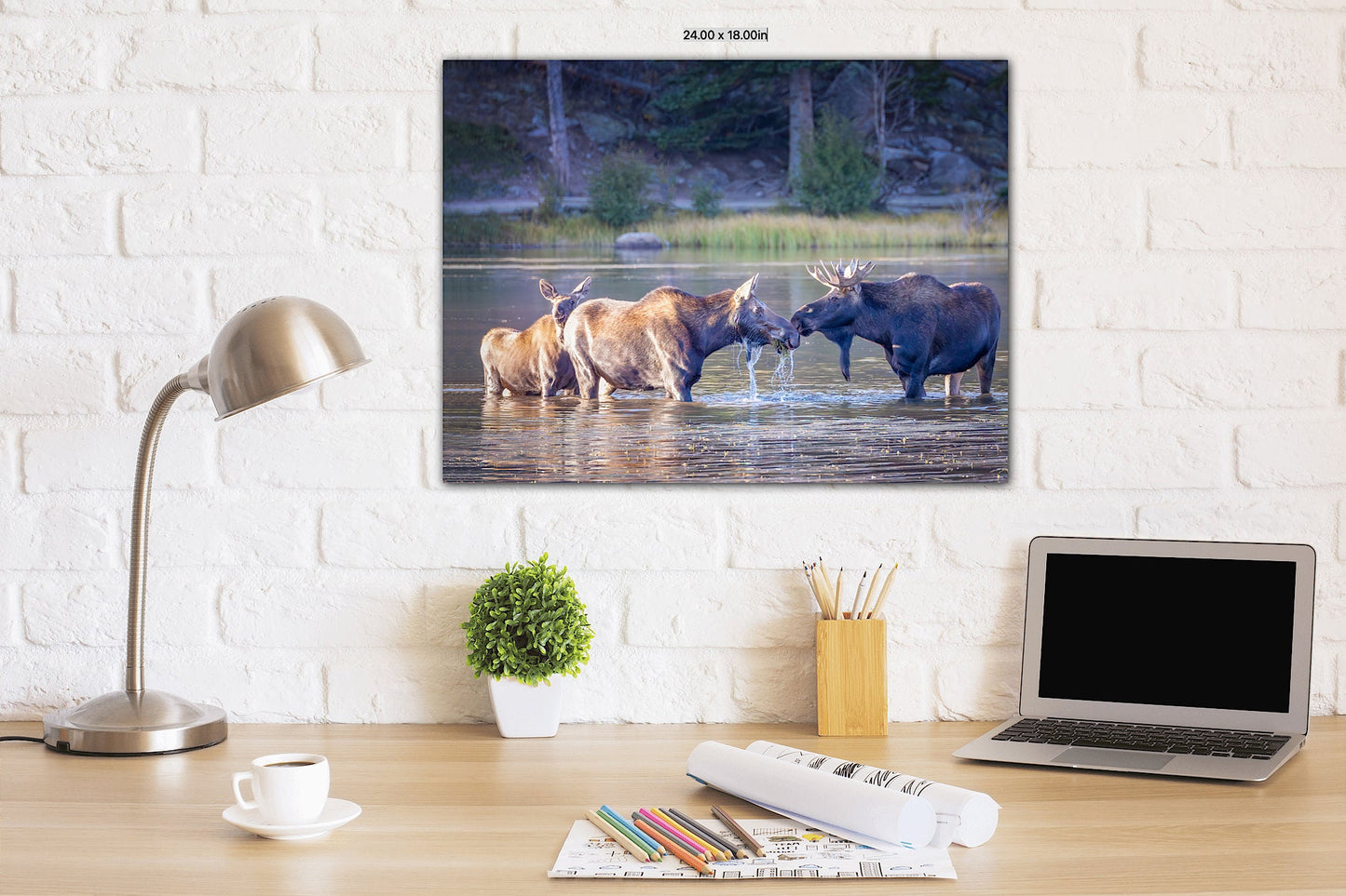 Moose Family Photo, Rocky Mountain National Park, Wildlife Wall Canvas, Colorado Nature Photography Canvas Art Prints, Made in the USA - SandyDobbsFineArtPhotography