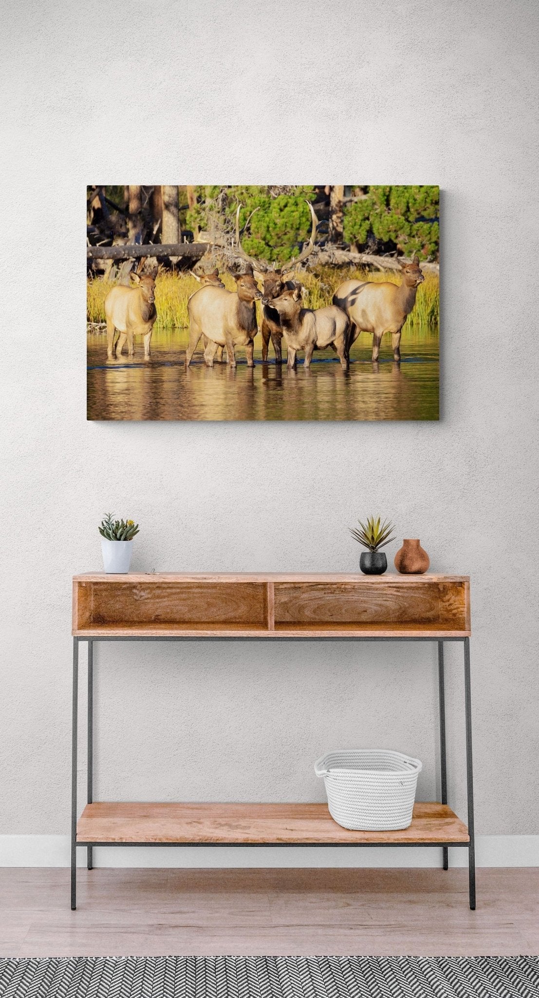 Bull Elk Herd in Water Photo, Wildlife Wall Canvas, Rocky Mountain National Park, Colorado Canvas Art Prints, Elk Photography, Made in USA - SandyDobbsFineArtPhotography