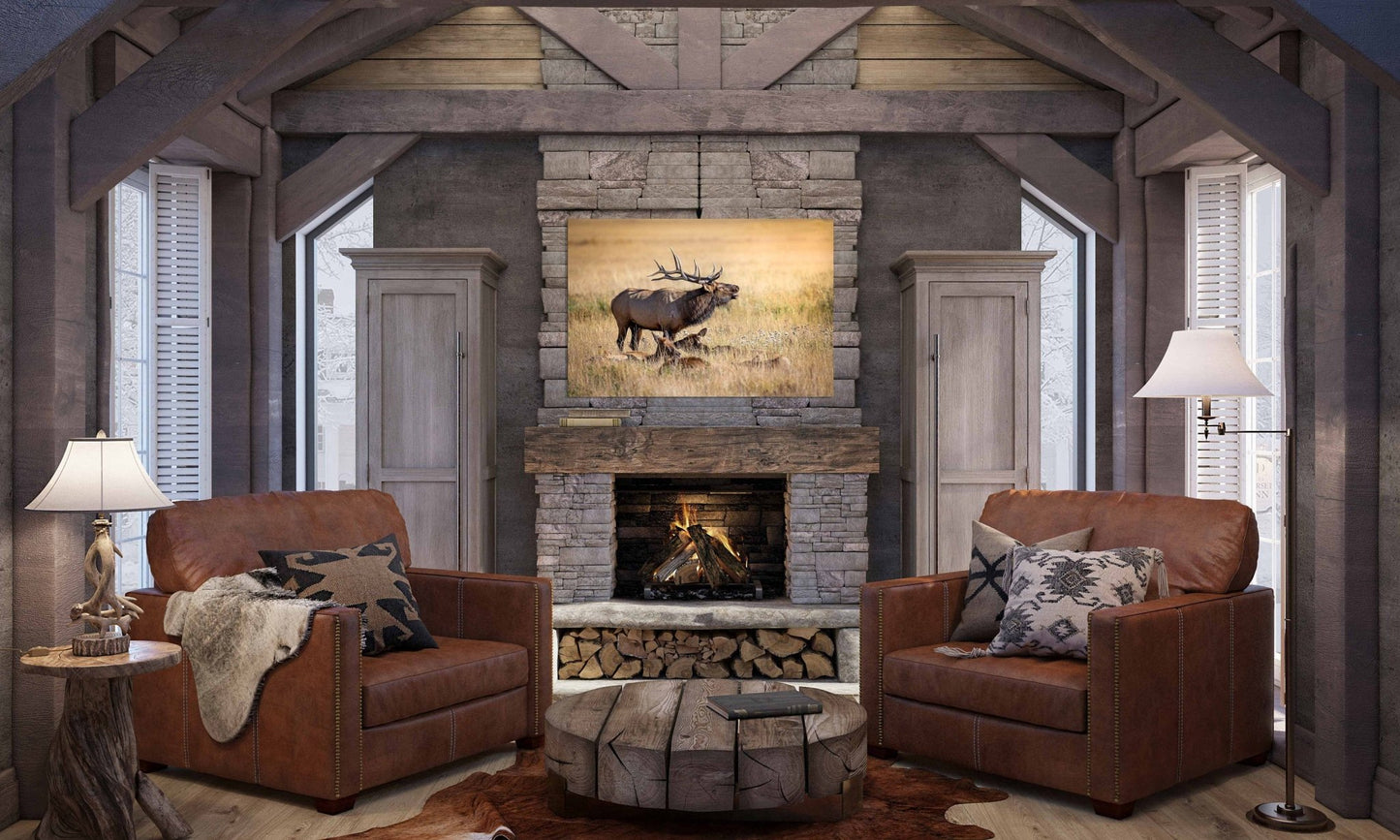 Bull Elk Bugling, Wildlife Wall Canvas, Rocky Mountain National Park, Colorado Canvas Art Prints, Original Elk Photography, Made in the USA - SandyDobbsFineArtPhotography