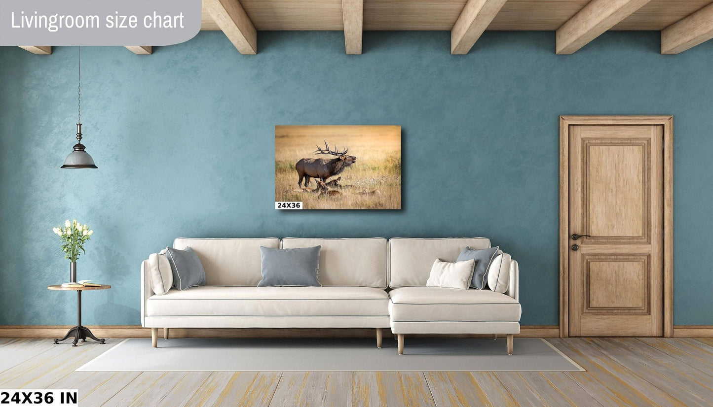 Bull Elk Bugling, Wildlife Wall Canvas, Rocky Mountain National Park, Colorado Canvas Art Prints, Original Elk Photography, Made in the USA - SandyDobbsFineArtPhotography