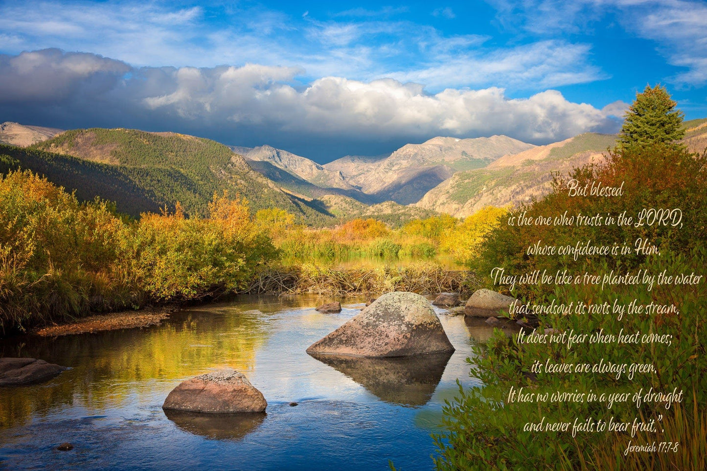 Jeremiah 17:7 - 8 Christian Inspirational Wall Art, Scripture Wall Canvas, Trust in the Lord, Colorado Landscape Photography, Customization - SandyDobbsFineArtPhotography