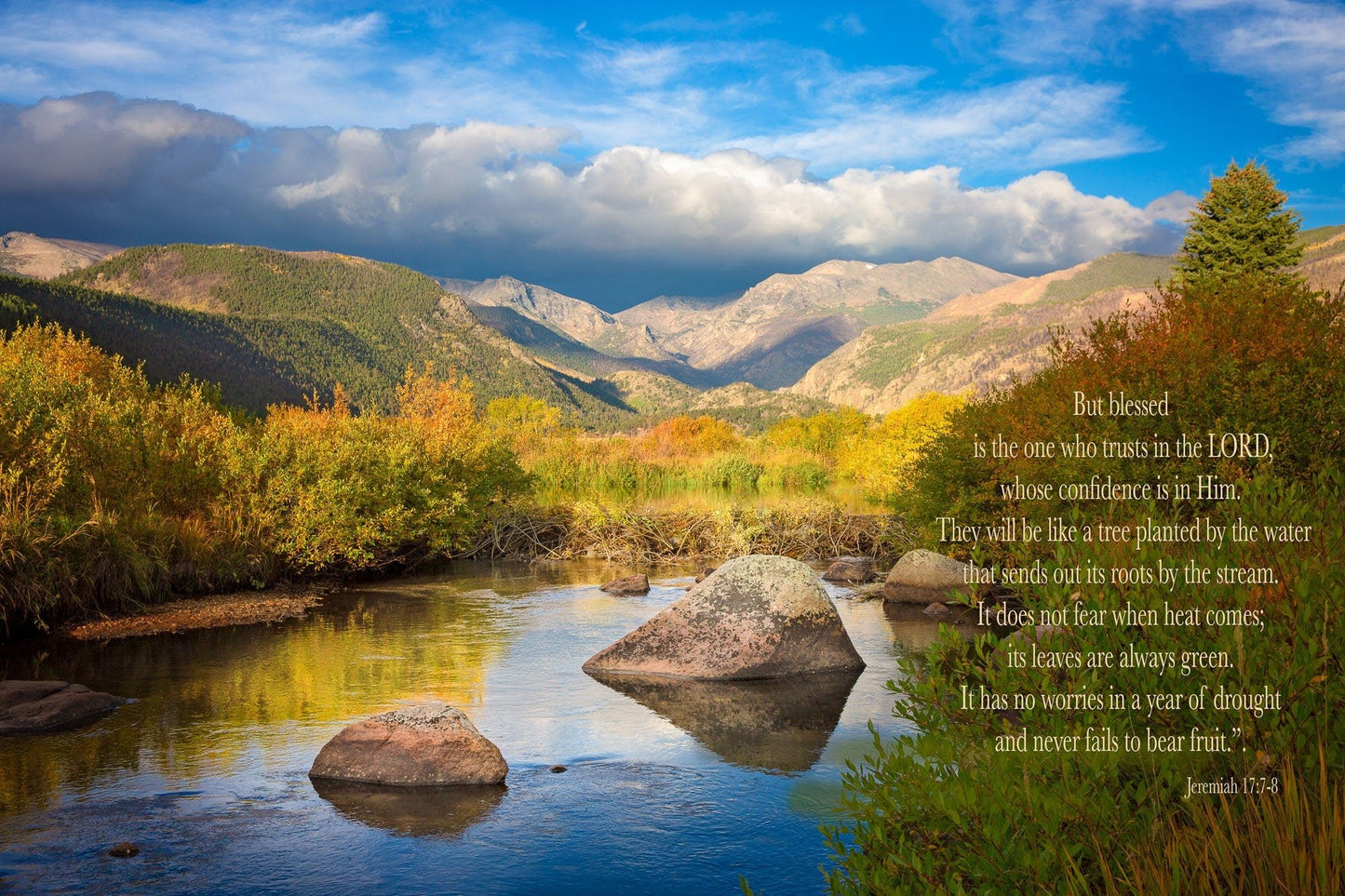 Jeremiah 17:7 - 8 Christian Inspirational Wall Art, Scripture Wall Canvas, Trust in the Lord, Colorado Landscape Photography, Customization - SandyDobbsFineArtPhotography
