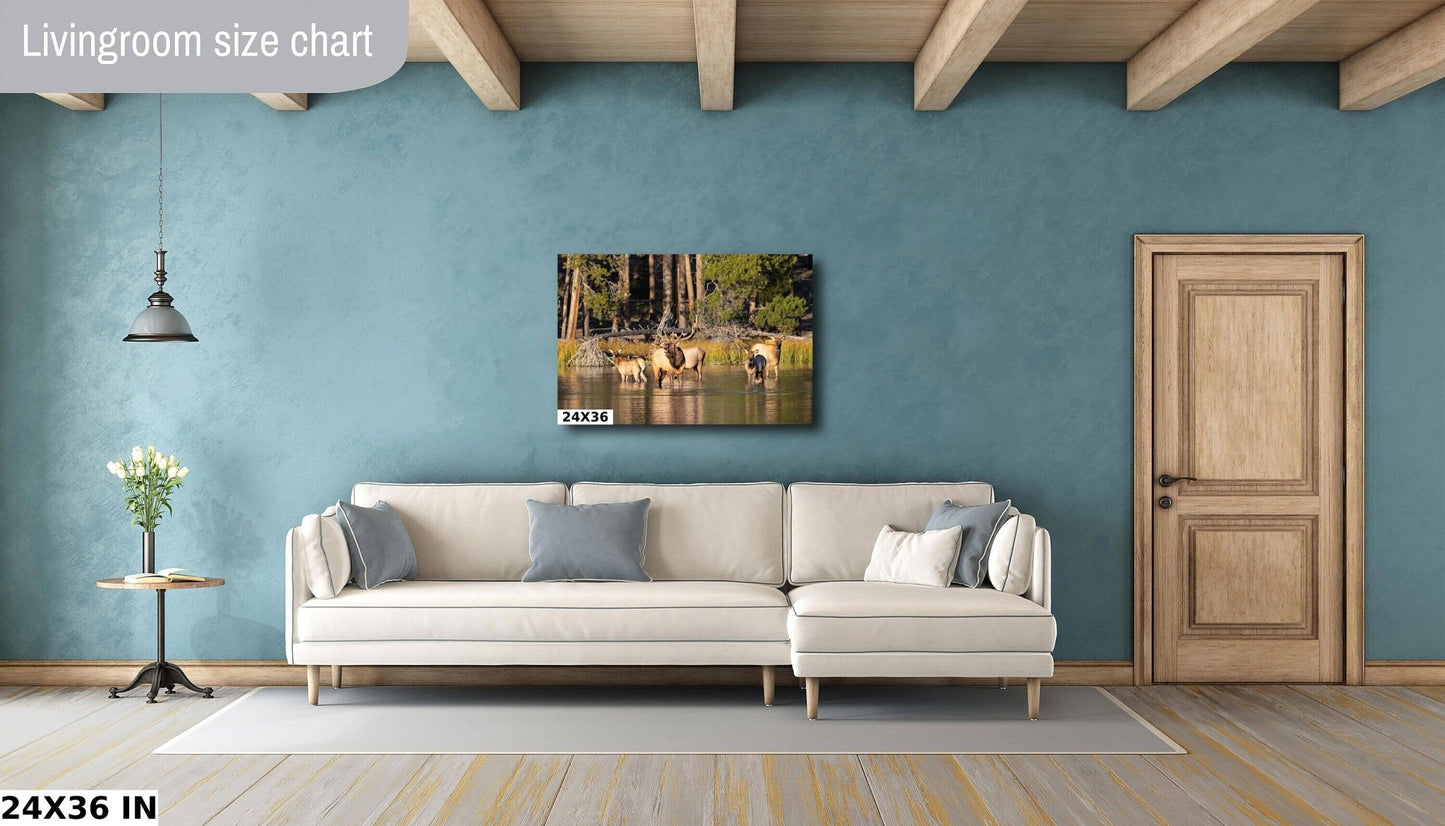 Bull Elk Bugling in Water Photo, Wildlife Wall Canvas, Rocky Mountain National Park, Colorado Canvas Art Prints, Elk Photography - SandyDobbsFineArtPhotography