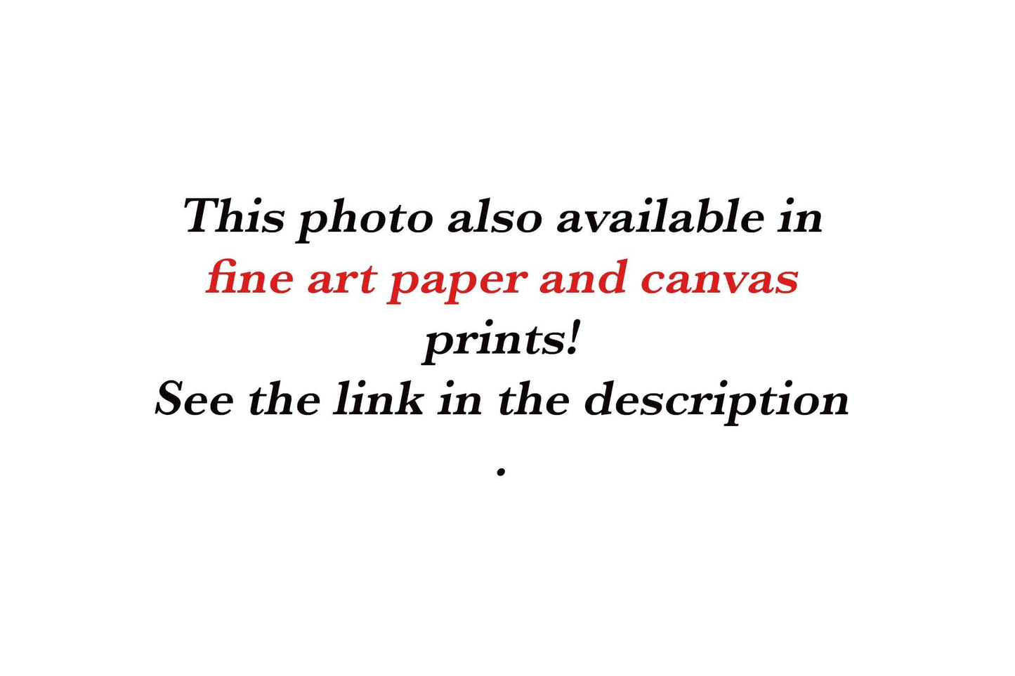 Train on Tracks Mountain Scene Metal or Acrylic Print, Banff National Park Canada Landscape Photo, Canada Large Wall Art Photography - SandyDobbsFineArtPhotography