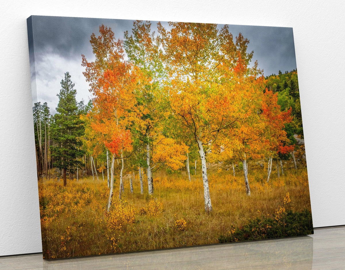 a serene autumn landscape with a group of trees displaying vibrant orange and yellow foliage against a cloudy sky.