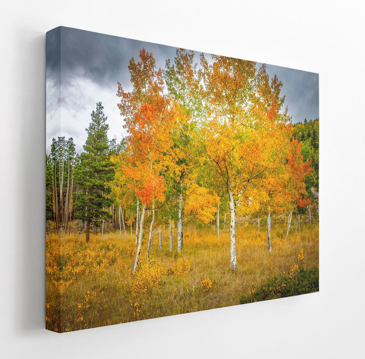 a serene autumn landscape with a group of trees displaying vibrant orange and yellow foliage against a cloudy sky.