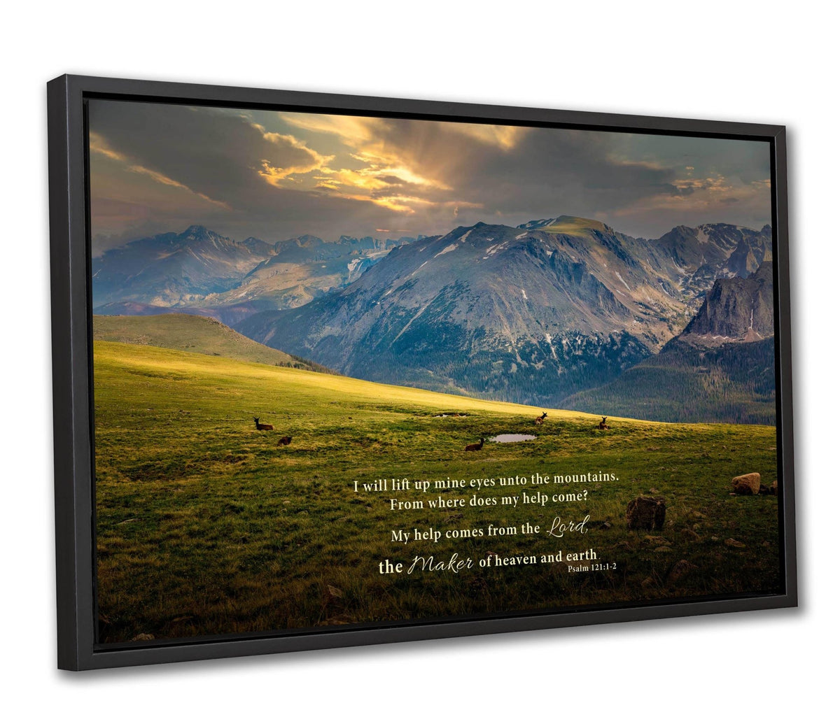 Psalm 121 Christian Wall Art, Bible Verse, Trail Ridge Road Rocky Mountain National Park Colorado, Elk at Sunset - SandyDobbsFineArtPhotography