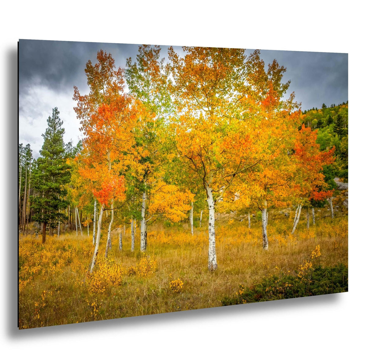 A vibrant autumn scene with a forest of trees displaying a mix of orange, yellow, and green foliage against a cloudy sky.