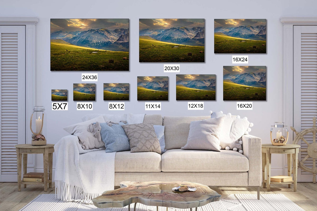 Psalm 121 Christian Wall Art, Bible Verse, Trail Ridge Road Rocky Mountain National Park Colorado, Elk at Sunset - SandyDobbsFineArtPhotography
