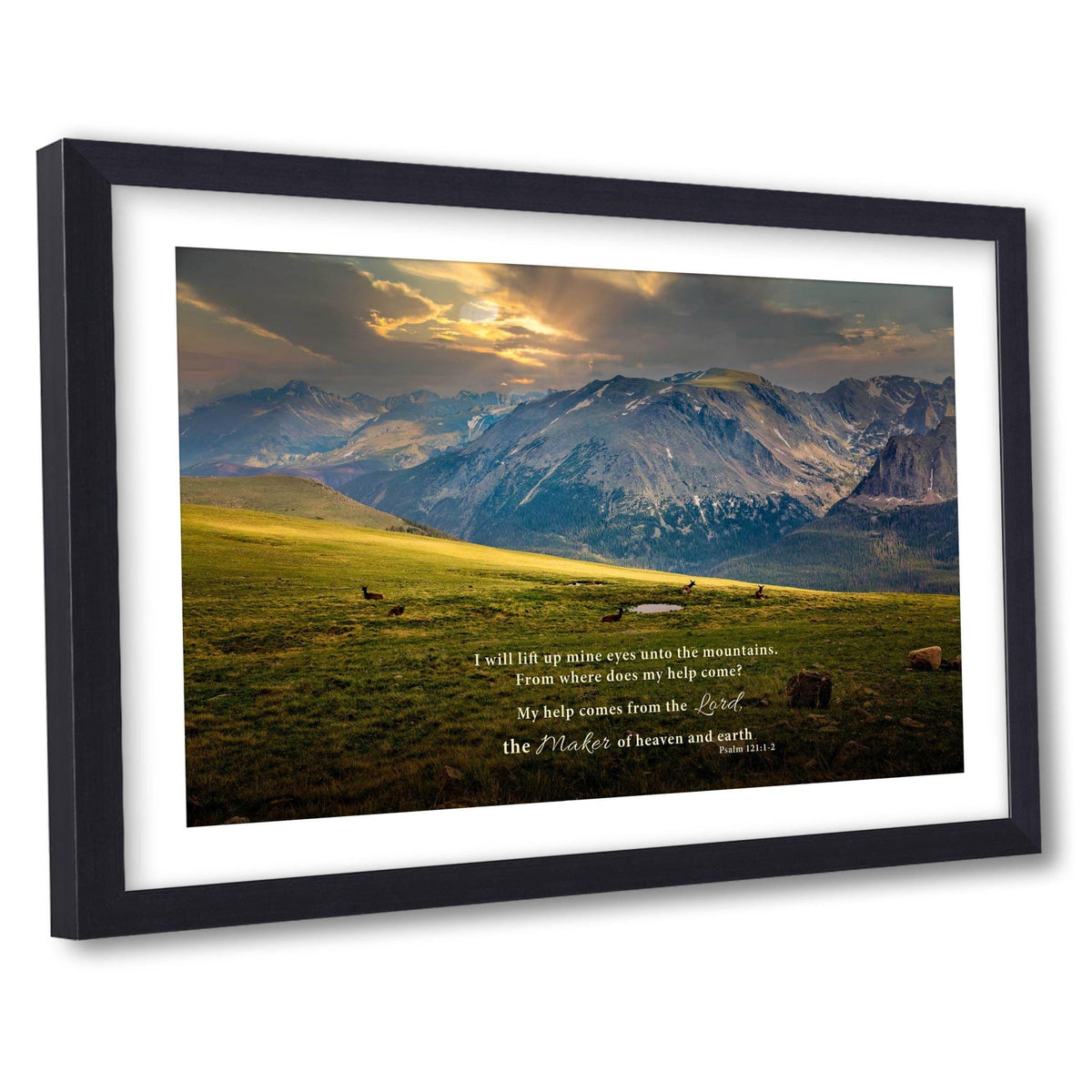 Psalm 121 Christian Wall Art, Bible Verse, Trail Ridge Road Rocky Mountain National Park Colorado, Elk at Sunset - SandyDobbsFineArtPhotography
