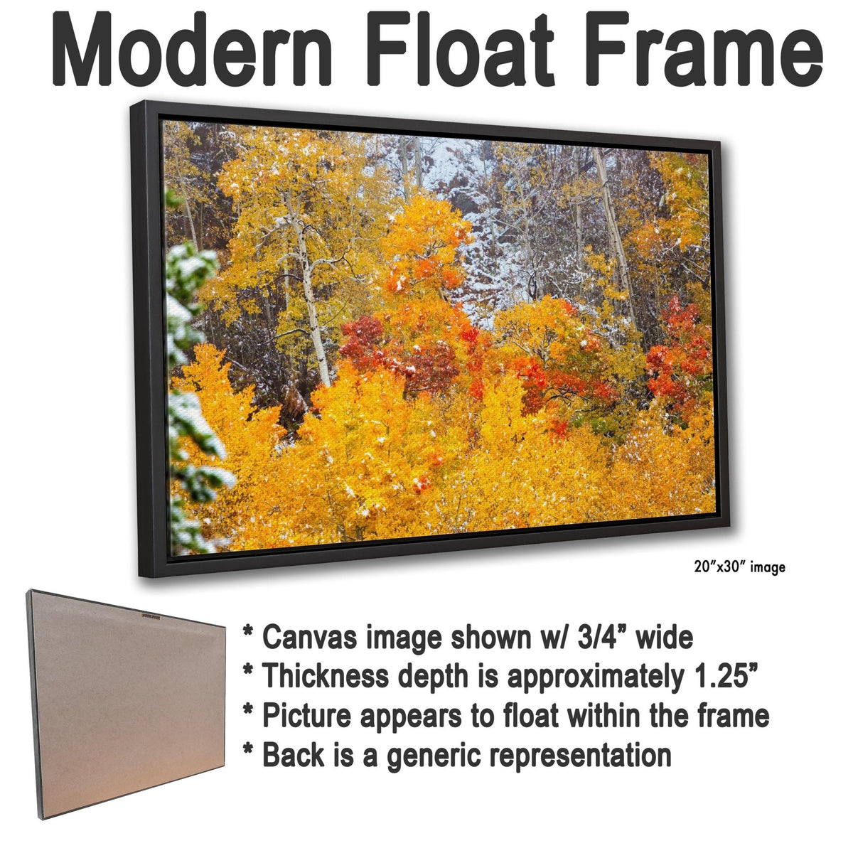 Vivid aspens in autumn colors of orange, gold and red, dusted with snow. Photo taken in Rocky Mountain National Park along Bear Lake Road in October 2025. Image available in paper, canvas, metal or acrylic prints. This photo shows the example of a canvas print in a black frame