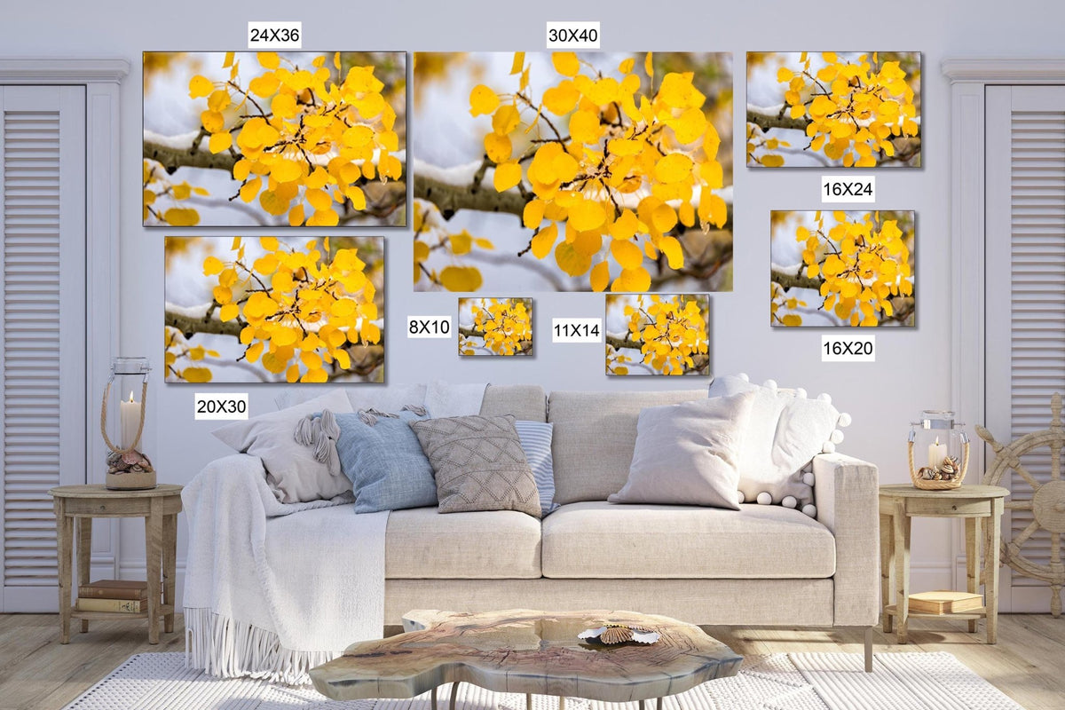 The image is a living room with a large couch and a coffee table. There are multiple framed photographs of yellow leaves on a branch displayed on the wall above the couch. The photographs vary in size, ranging from 20x30 to 20x40.