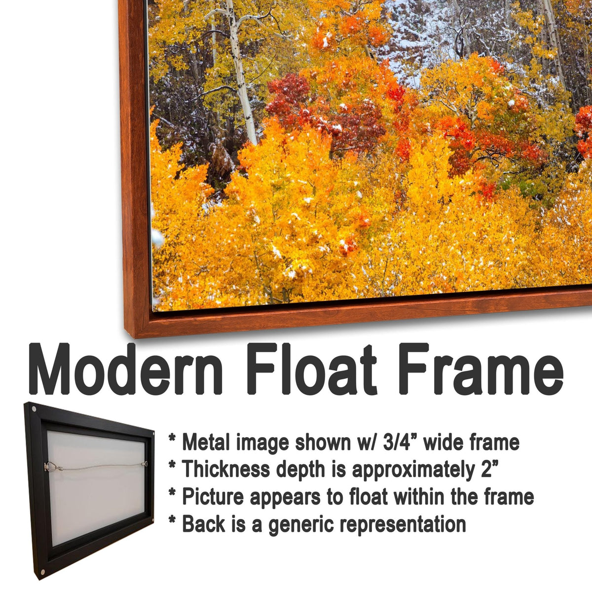 Autumn Aspens in Snow Print, Rocky Mountain National Park Wall Art, Colorado Fall Colors