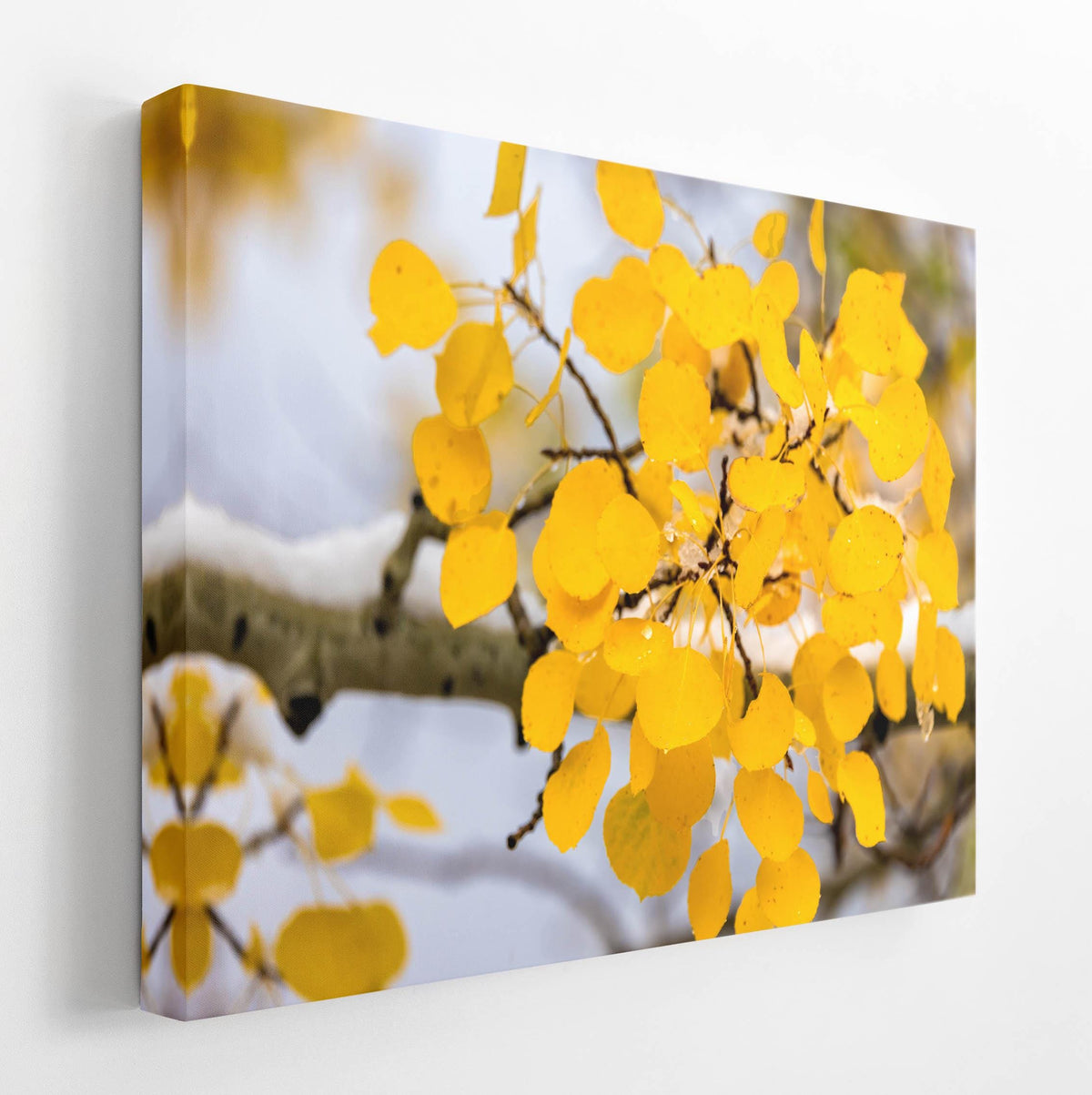 A close-up view of a tree branch with vibrant yellow leaves against a blurred background, creating a visually striking and colorful composition.