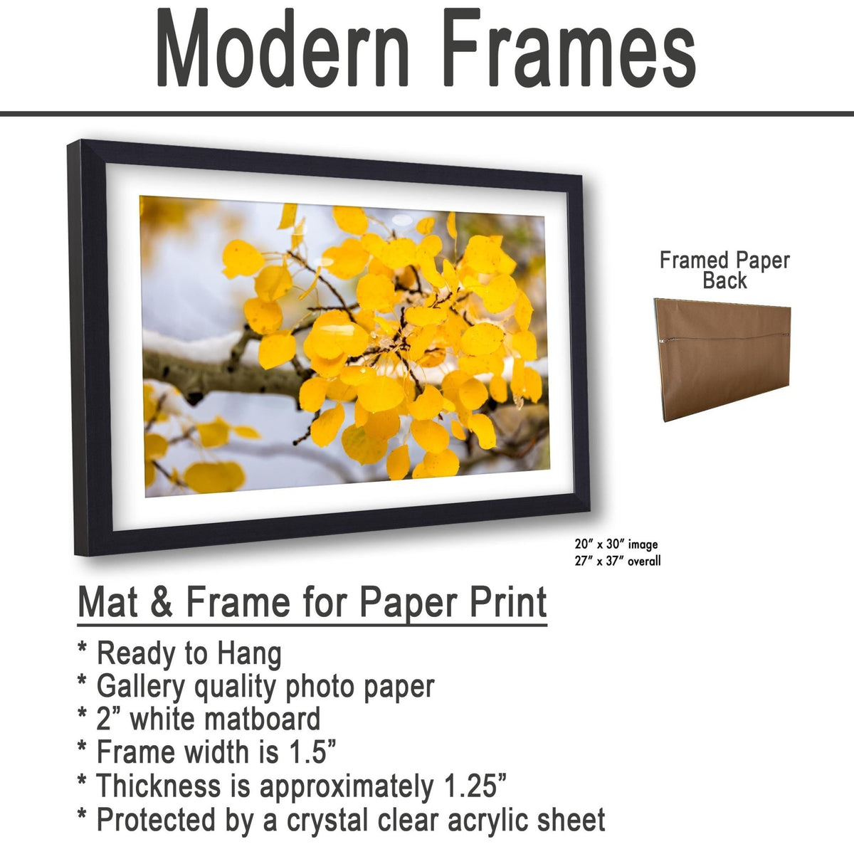 A framed photograph of a branch with yellow leaves, which appears to be a close-up of the leaves on a branch.