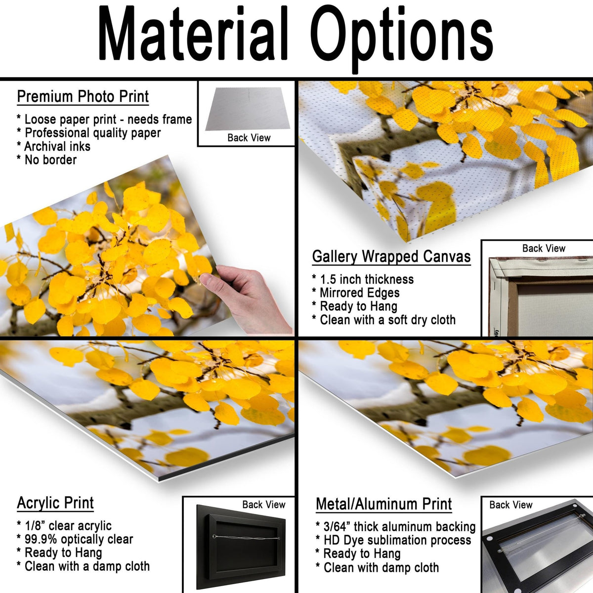 The image is a collage of four different photographs, each showcasing a unique material option for printing. The photographs display a variety of materials, including a loose paper print, a gallery-wrapped canvas, an acrylic print, and a metal/aluminum print. The back view of each print provides a clear view of the material used and its characteristics, such as the thickness, backing, and finish.