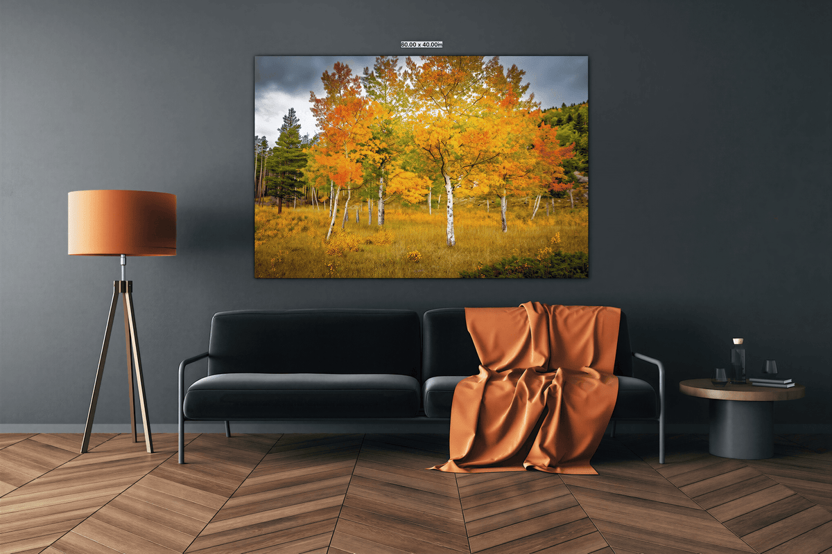 a large black sofa with an orange blanket draped over it, positioned in front of a wall-mounted painting depicting a scenic autumn landscape with a group of trees displaying vibrant orange and yellow foliage.
