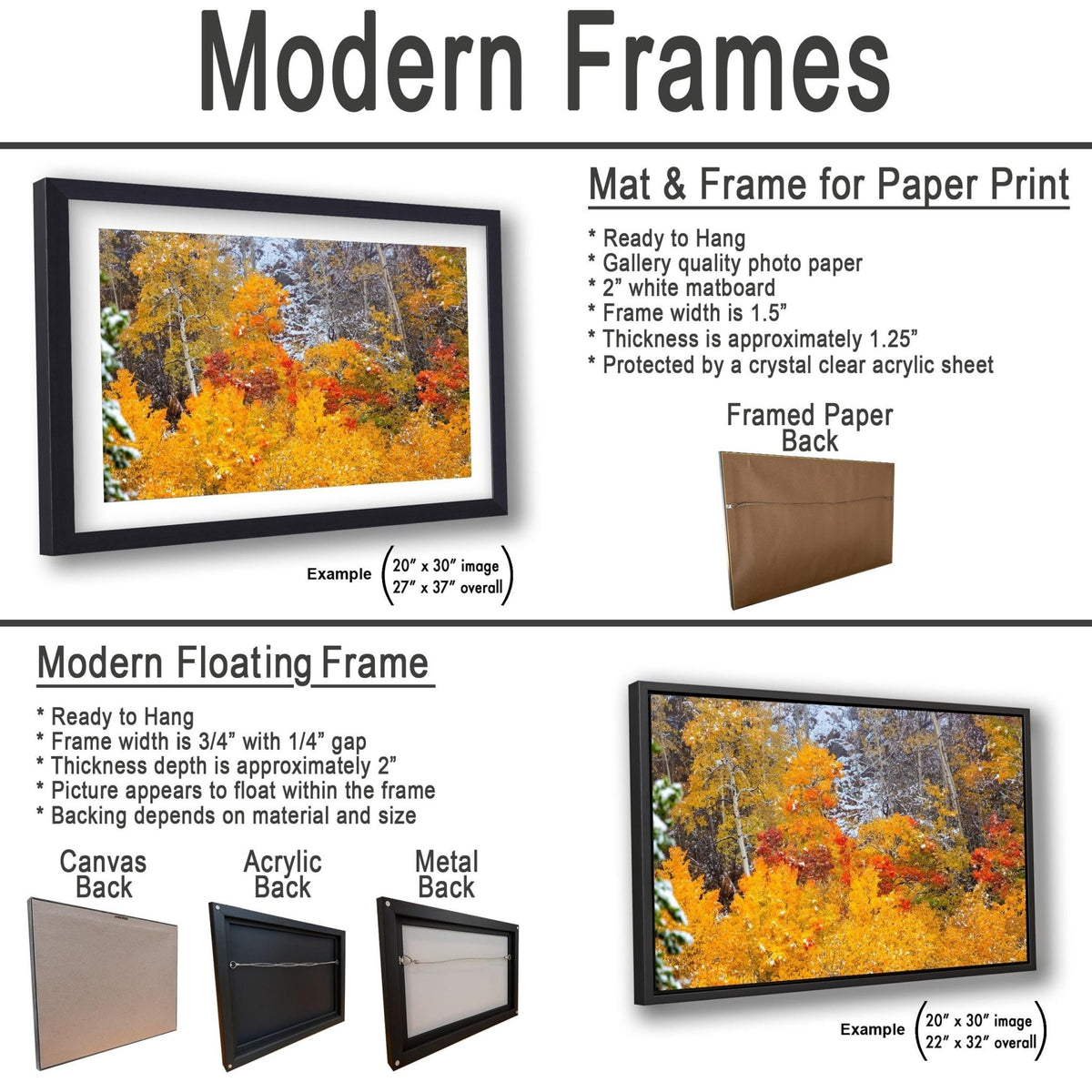 Vivid aspens in autumn colors of orange, gold and red, dusted with snow. Photo taken in Rocky Mountain National Park along Bear Lake Road in October 2025. Image available in paper, canvas, metal or acrylic prints. This photo shows all of the framing options.