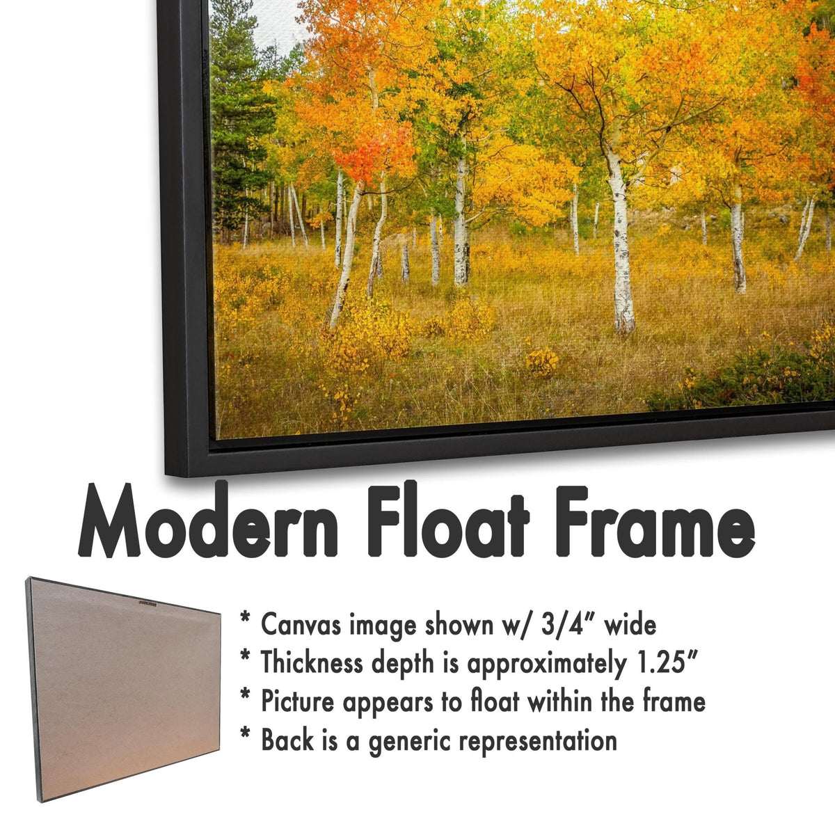 The image is a modern float frame that showcases a beautiful autumn landscape with trees displaying vibrant orange and yellow foliage. The frame is described as having a canvas image shown with a width of 3/4" wide, a thickness of approximately 1.25", and a picture that appears to float within the frame. The back of the frame is described as a generic representation.
