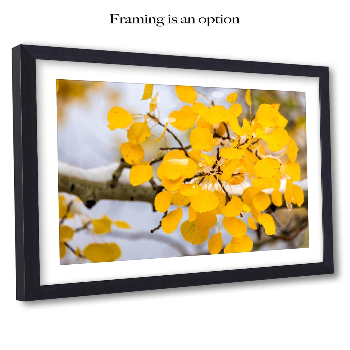 A close-up of a branch with yellow leaves against a blurred background, framed in a black frame.