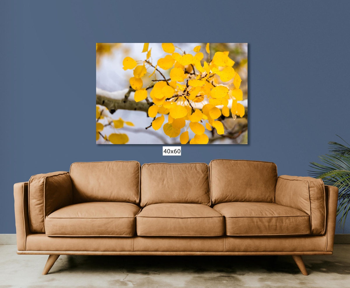 A large framed photograph of a tree branch with yellow leaves is displayed on the wall above a brown leather couch in a living room setting.