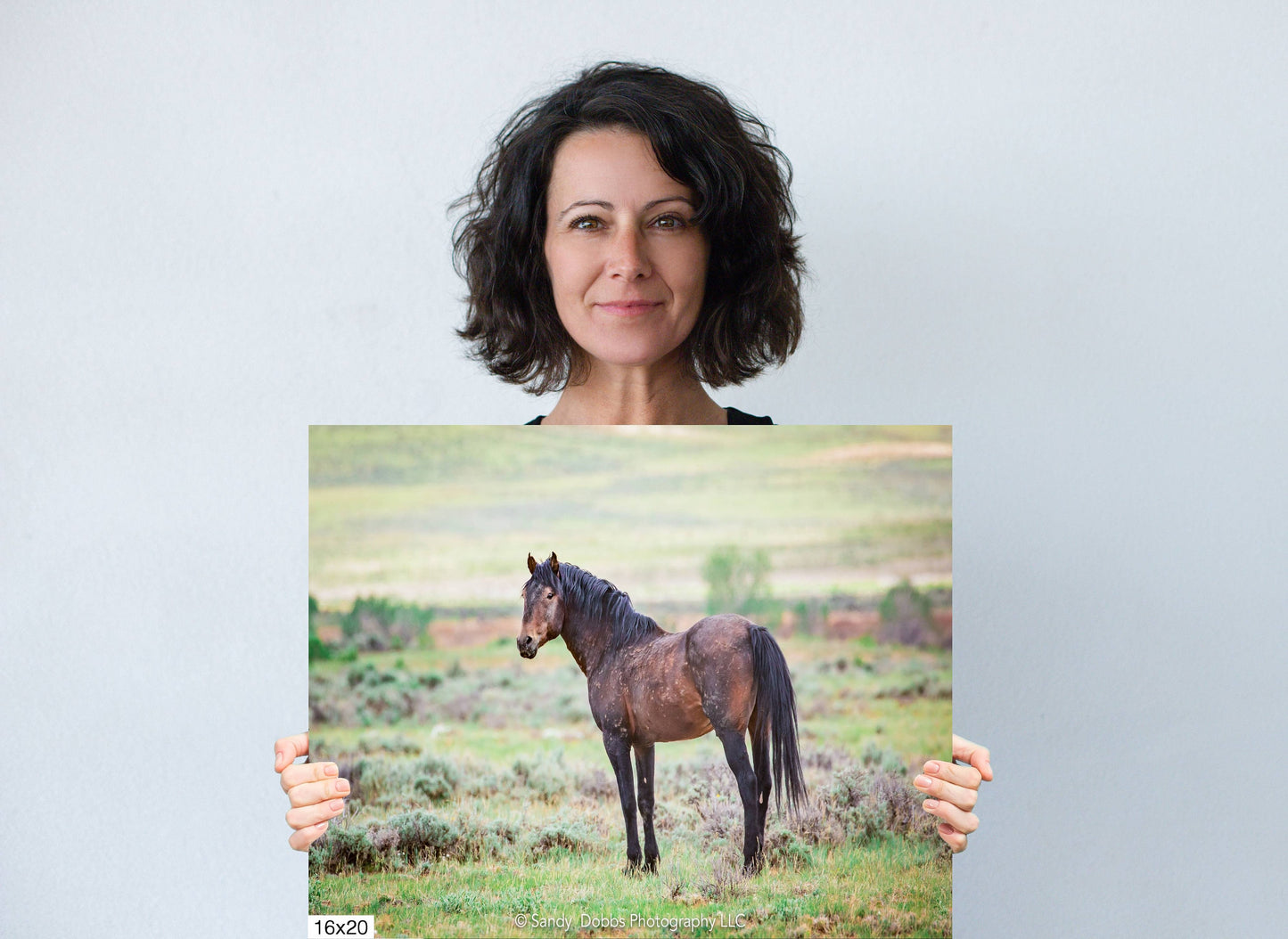 Wild Stallion, Wild Horse Wall Art, Wild Mustang, Wyoming Wildlife Canvas Wall Art Prints, Decor for Home ,Living Room, Bedroom, Office