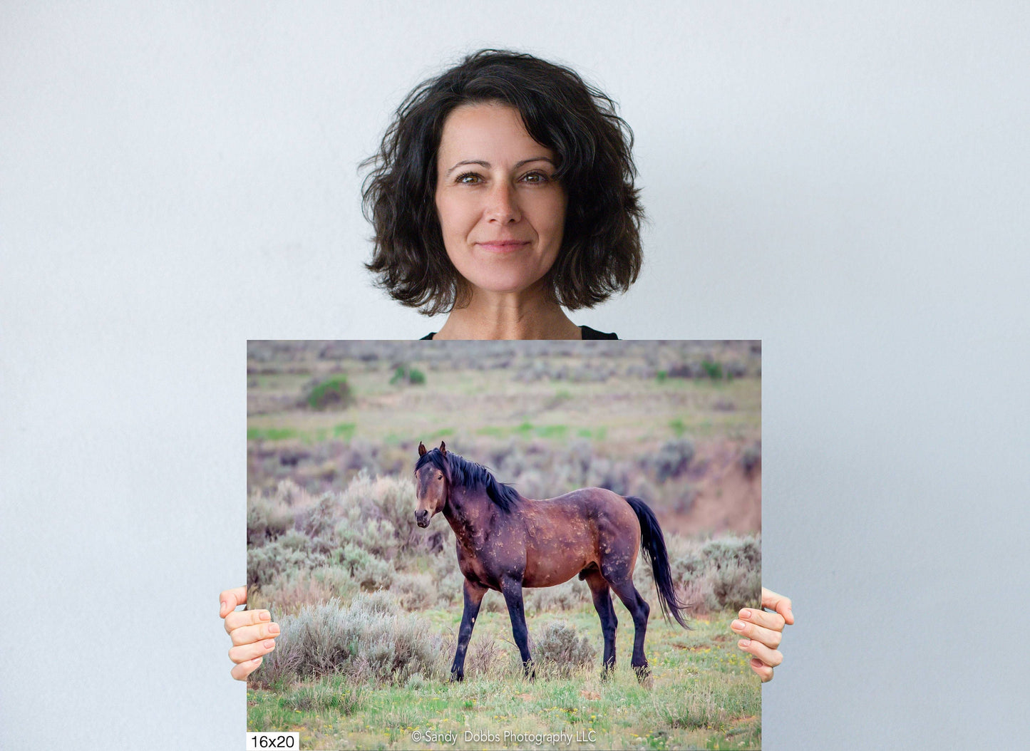 Wild Horse Wall Art Print, Wild Horse Photos, Wyoming Wildlife Canvas Prints, Cowboy Old West Decor for Home, Living Room, Bedroom, Office,