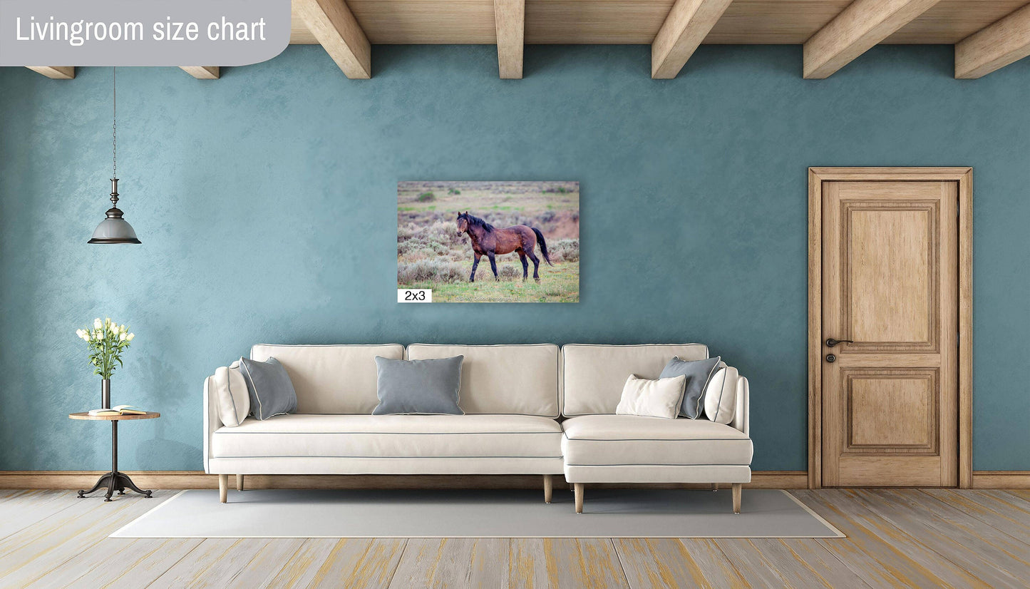 Wild Horse Wall Art Print, Wild Horse Photos, Wyoming Wildlife Canvas Prints, Cowboy Old West Decor for Home, Living Room, Bedroom, Office,