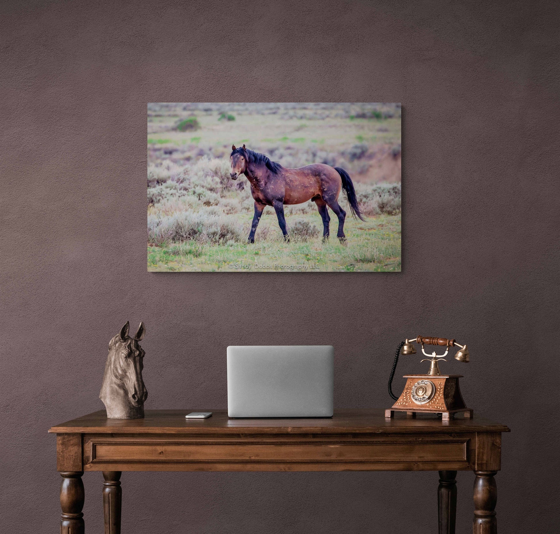 Wild Horse Wall Art Print, Wild Horse Photos, Wyoming Wildlife Canvas Prints, Cowboy Old West Decor for Home, Living Room, Bedroom, Office,