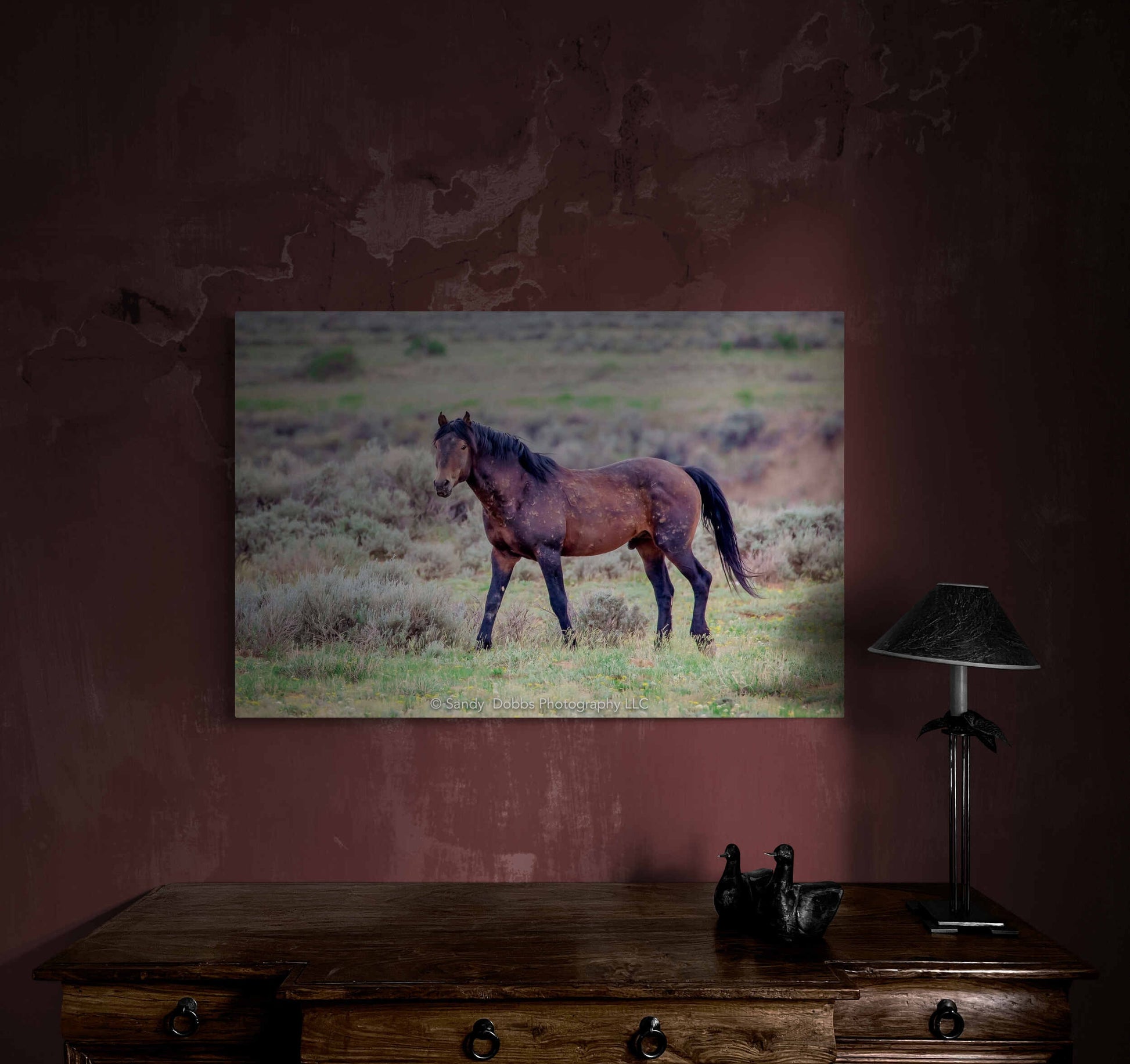 Wild Horse Wall Art Print, Wild Horse Photos, Wyoming Wildlife Canvas Prints, Cowboy Old West Decor for Home, Living Room, Bedroom, Office,