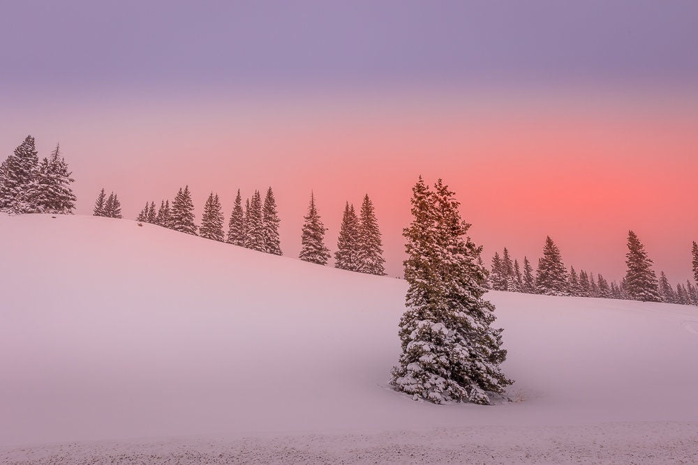 Snowy winter Colorado scenery on mountain with sunset glow. Available in prints or canvases. Beautiful orange, pink, blues and purples.