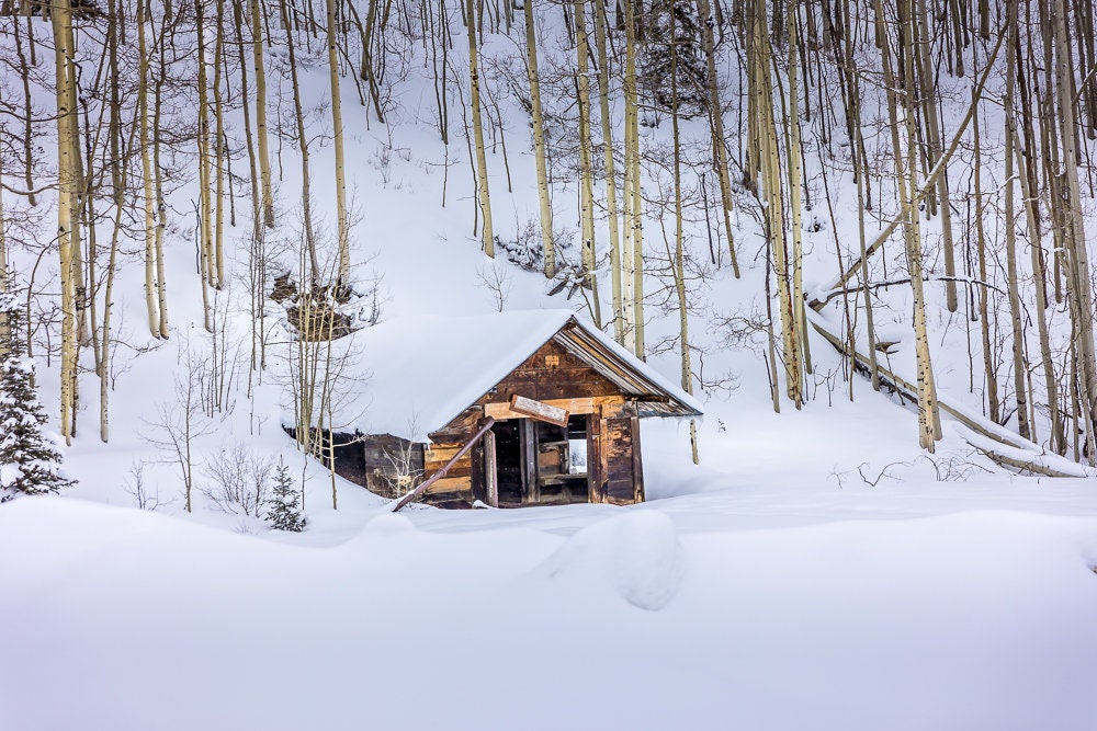 Rustic Cabin in Snowy Woods, Winter Landscape Photo, Aspen Winter Forest, Colorado Winter Print, Rocky Mountain Scenery, Winter Aspens Art