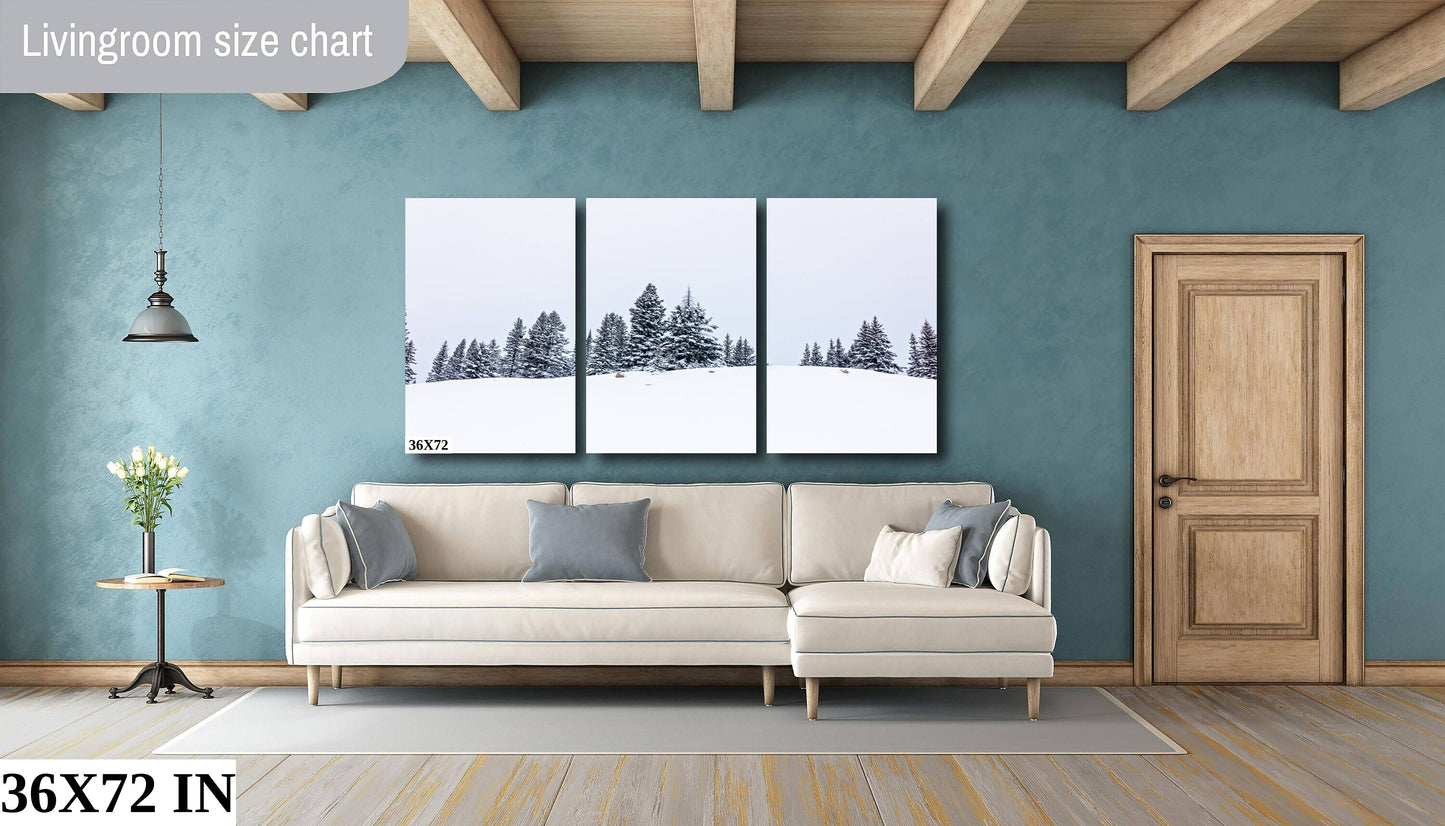 Snowy Trees Print, Colorado Winter Print, Rocky Mountain photo, Winter Mountain Canvas print, Minimalst Landscape Print, Ouray Winter