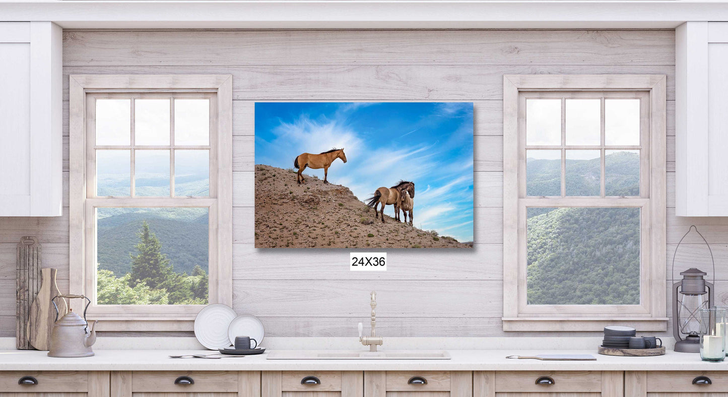 Wild Horses Wall Art Print, Wild Mustang Photo, Wyoming Wildlife Canvas Prints, Cowboy Old West Decor for Home, Living Room, Bedroom Office